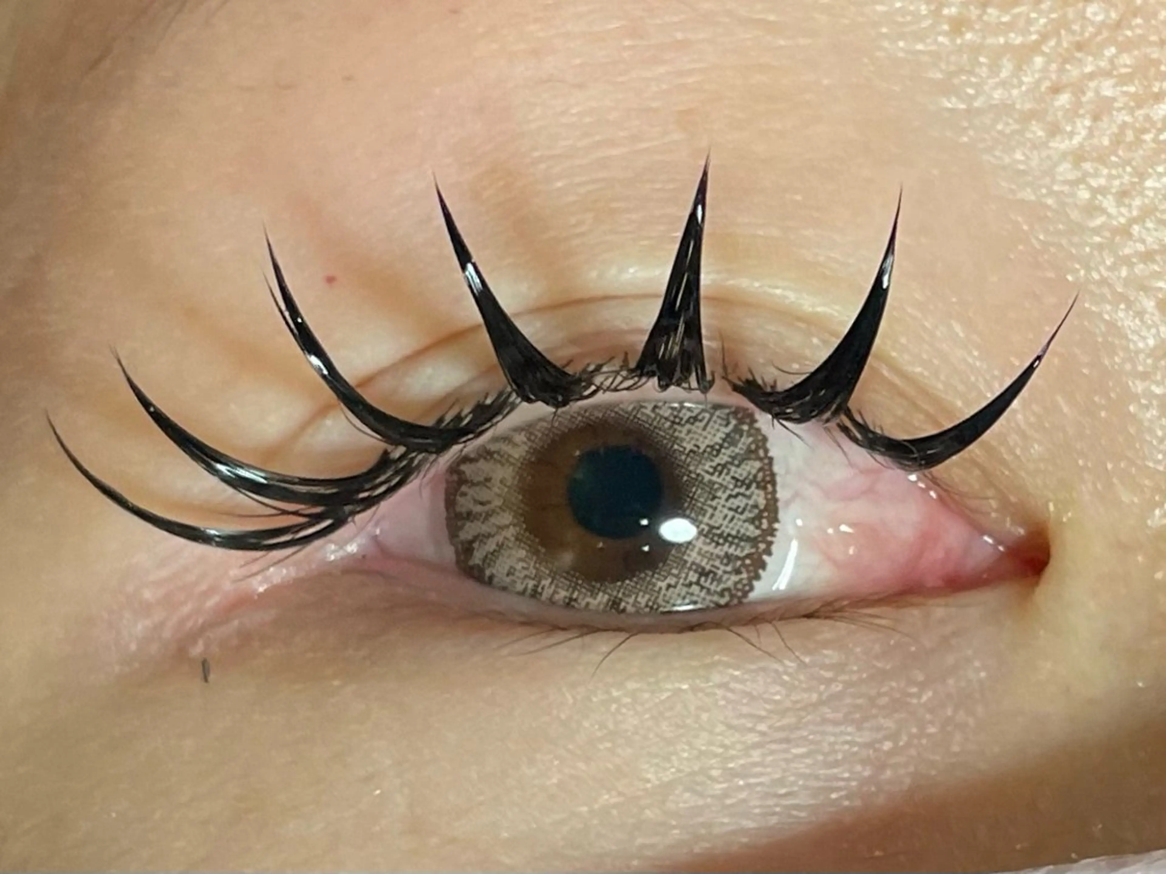 【1日2名限定❤️🔥¥7,000‼️】ダブルフラットつけ放題⚡️【フラット¥5,500‼️】の写真