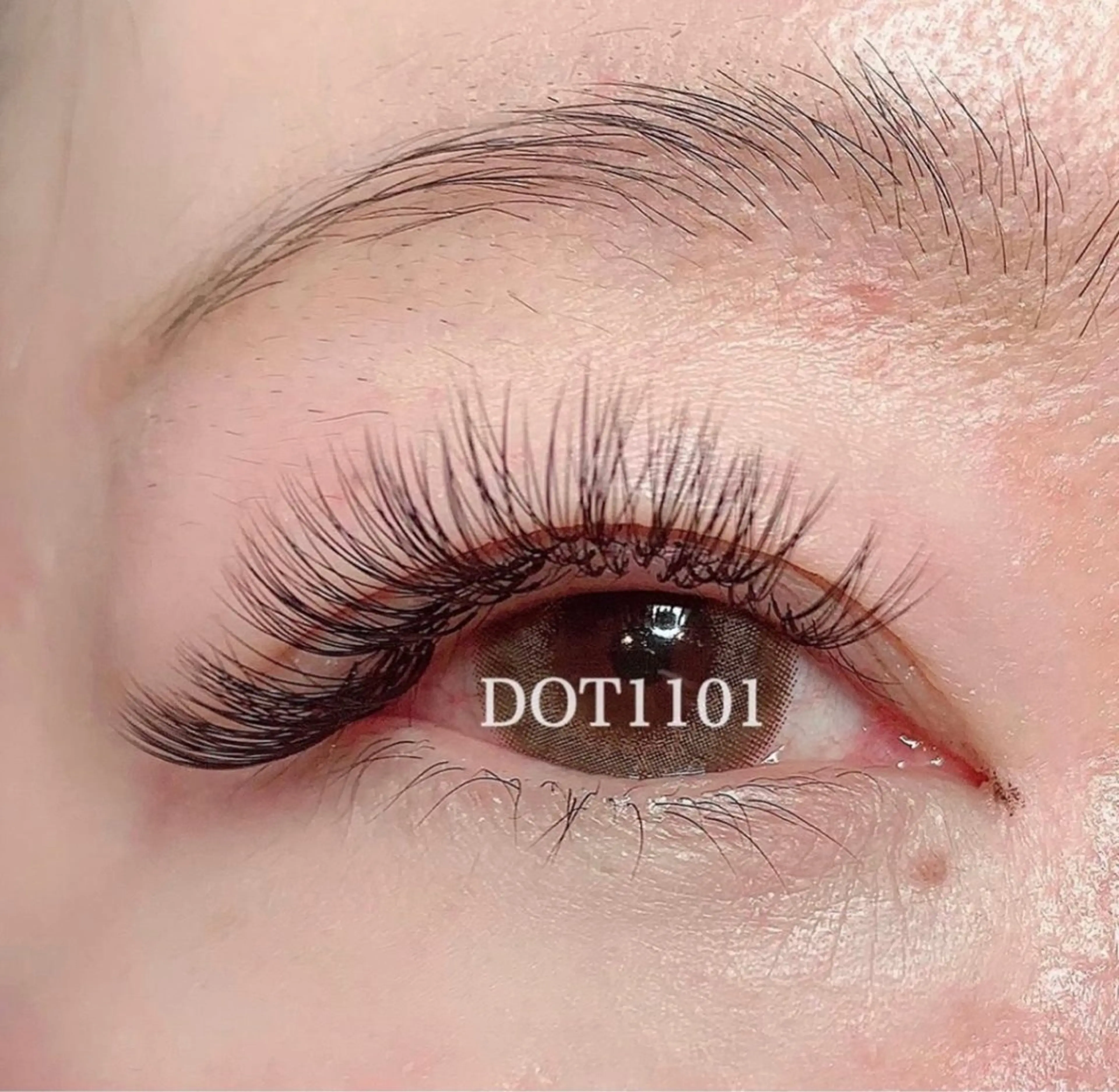 マツエク・マツパ ボリュームラッシュ DOT1101 a.i🌼のマツエク・マツパデザイン