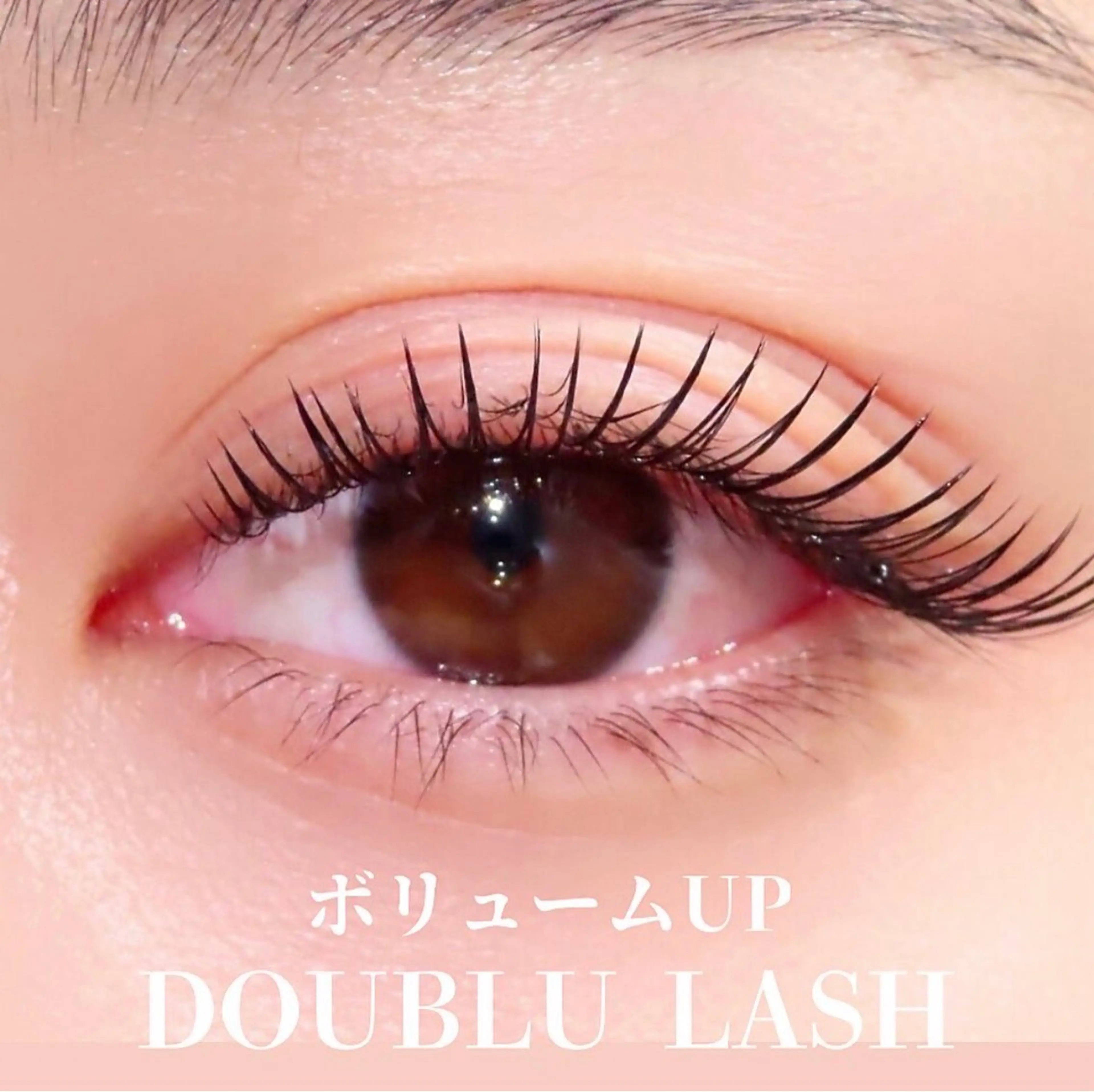 🌻ダブルラッシュ80束(160本)🌻の写真