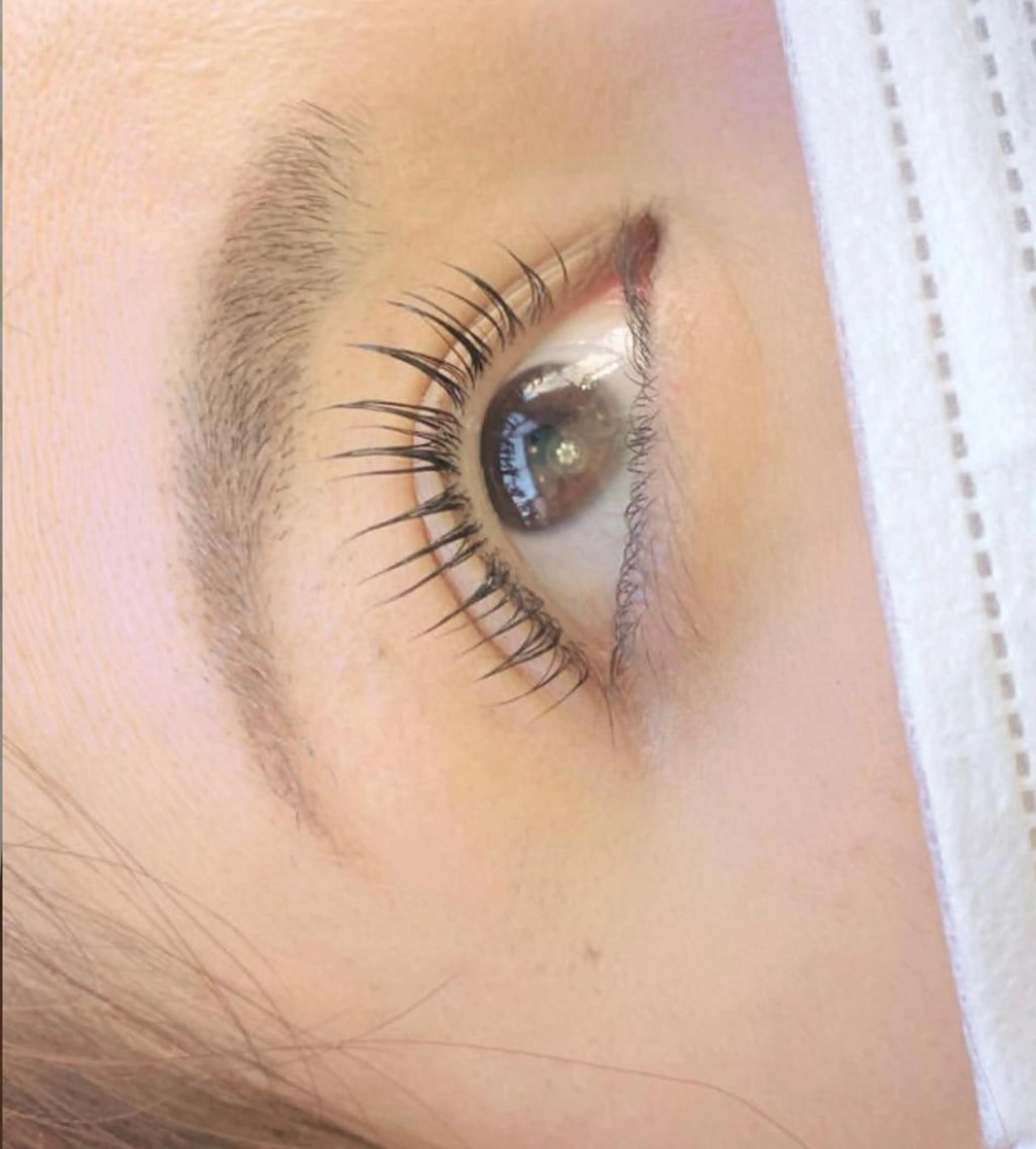 マツエク・マツパ マツパ 【那覇/束感まつ毛 /LED】キャメルのマツエク・マツパデザイン