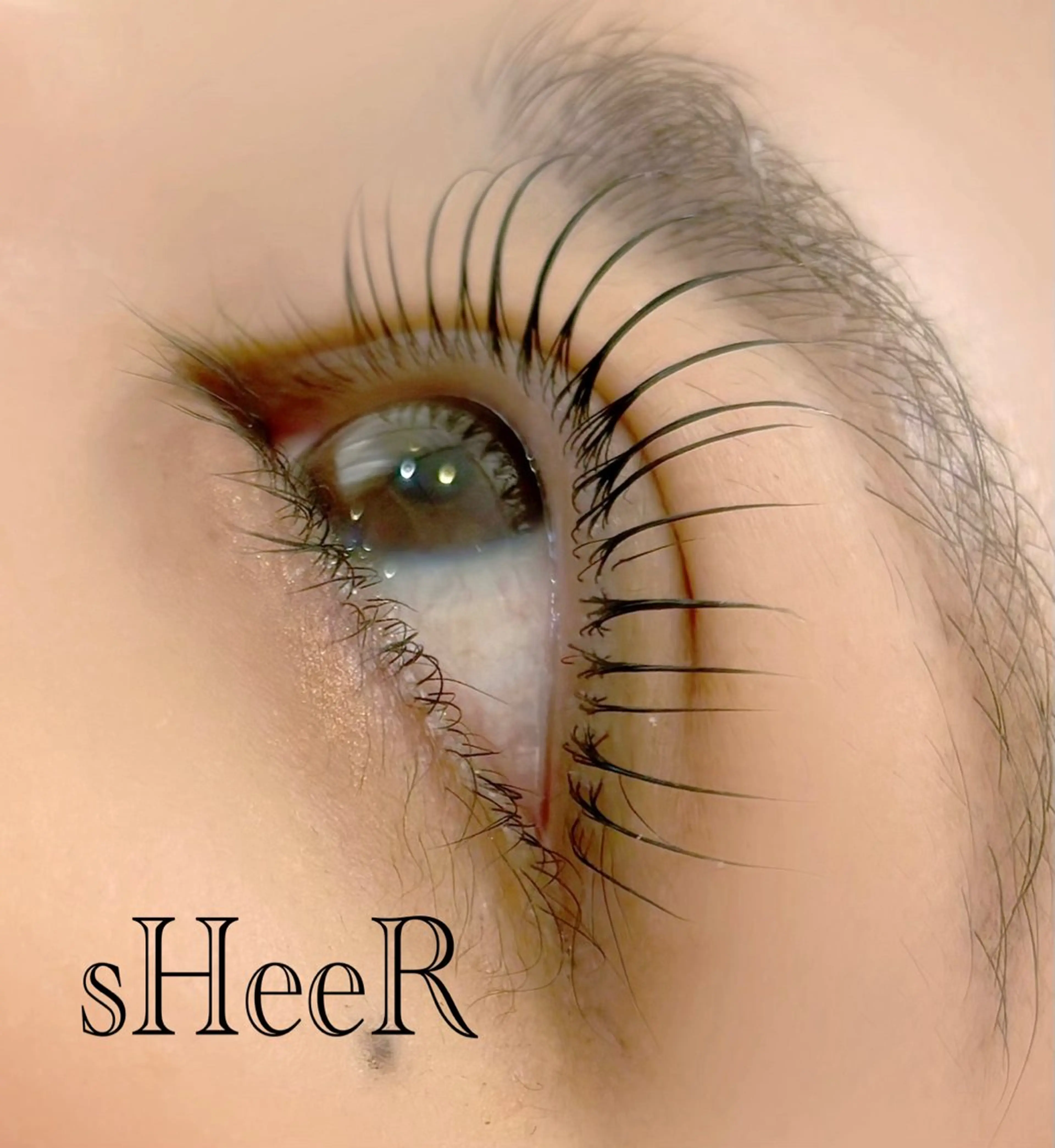 マツエク・マツパ 束感まつ毛 韓国風マツエク マツパ 川越駅東口 sHeeR.mayuのマツエク・マツパデザイン