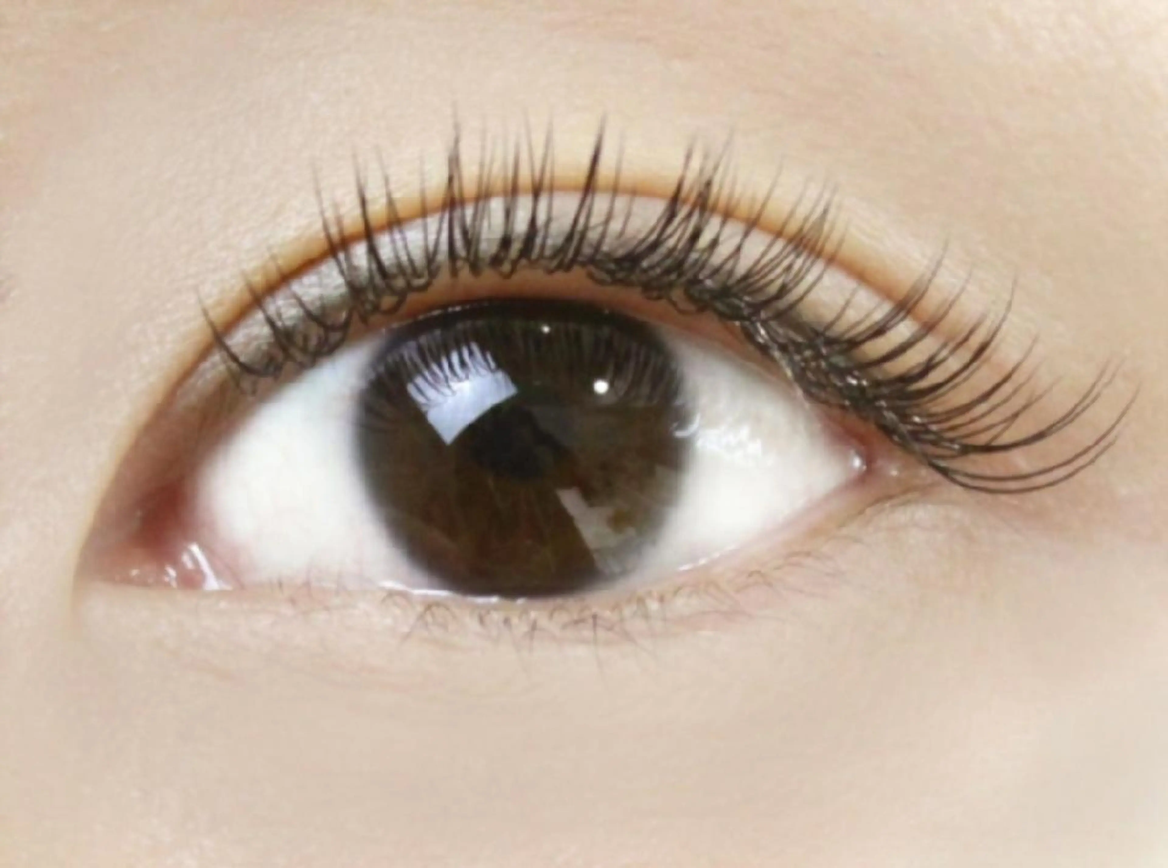 マツエク・マツパ Lereve .三宮店のエステ・リラクイメージ