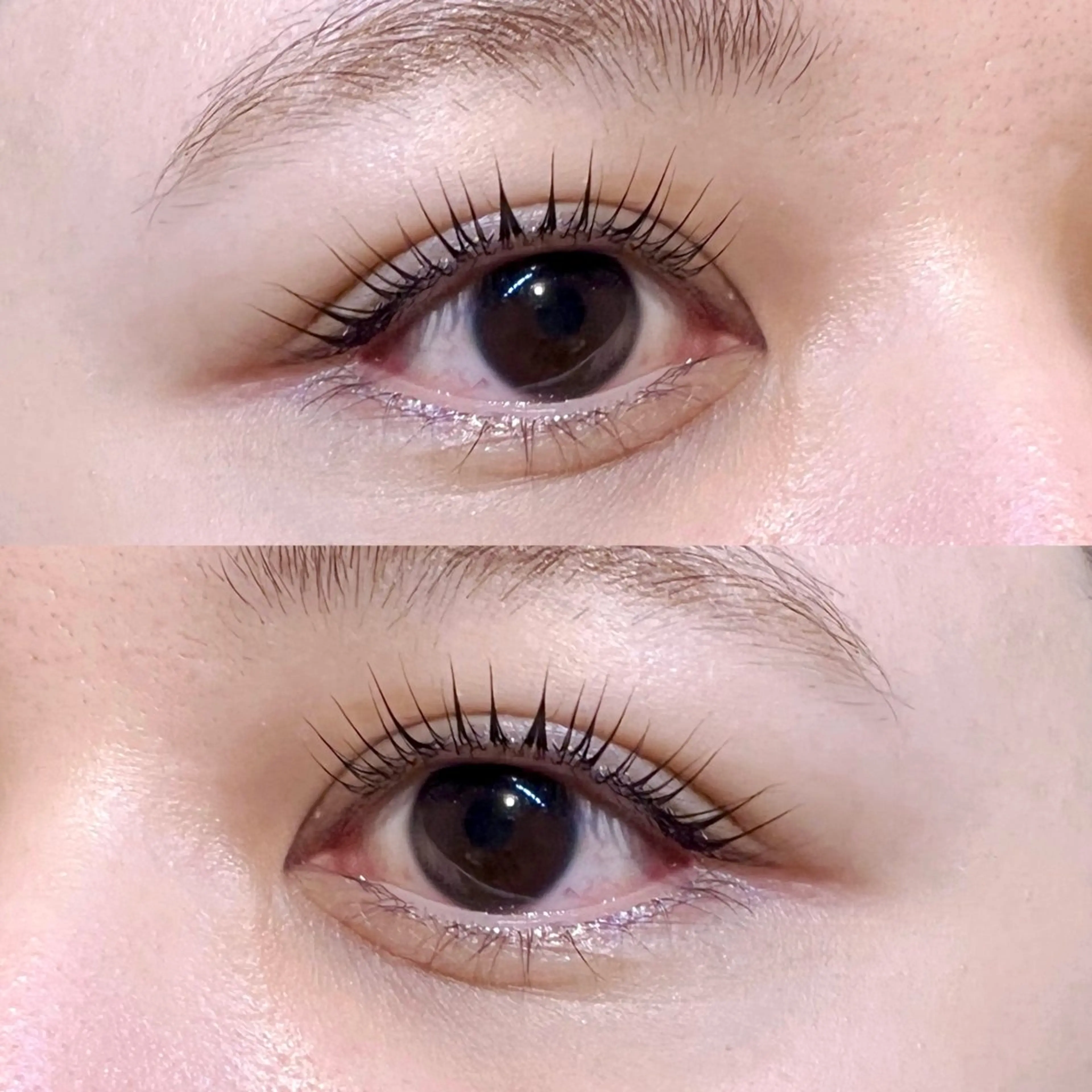 【束間仕上げOK★】美眉アイブロウWAX ＋まつげパーマ（アイシャンプー付き）の写真