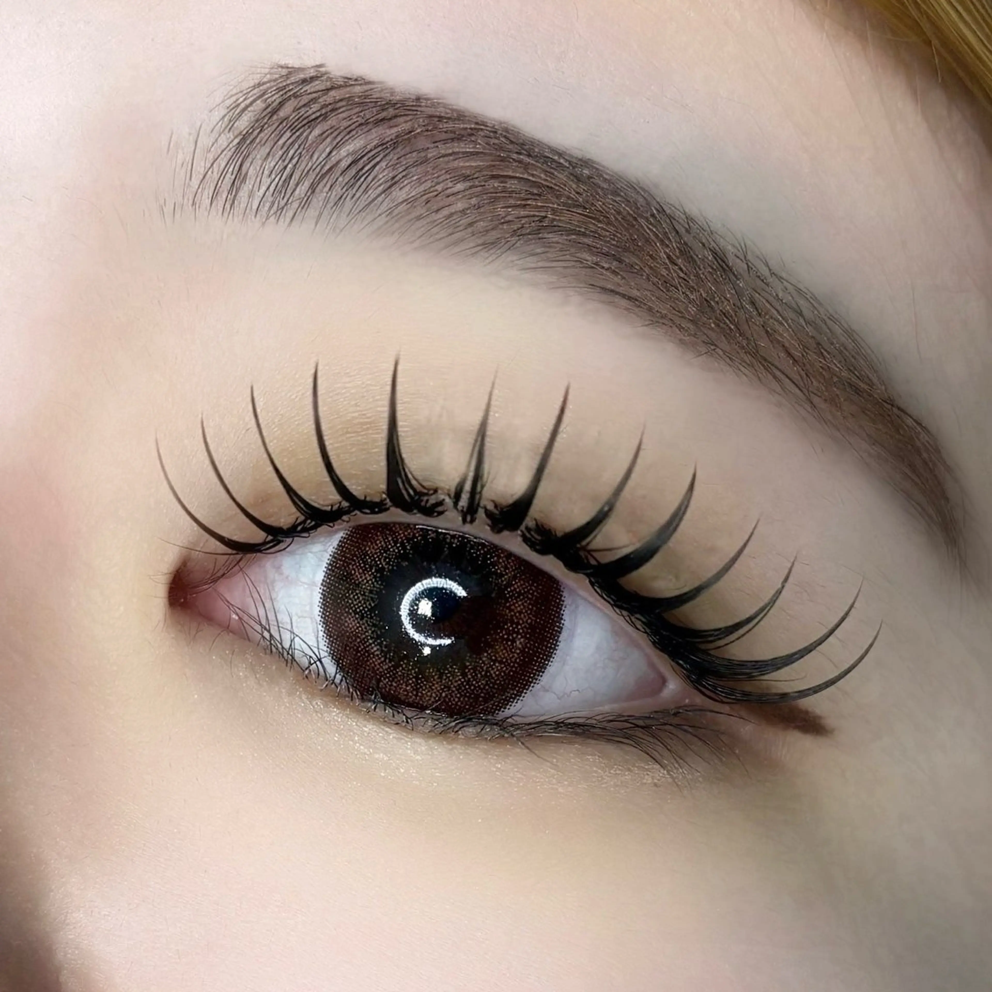 🐈 平日限定 🐈 【オフあり】🩶フラットマットラッシュ付け放題🩶 ⚠️補足説明をよくお読みくださいの写真