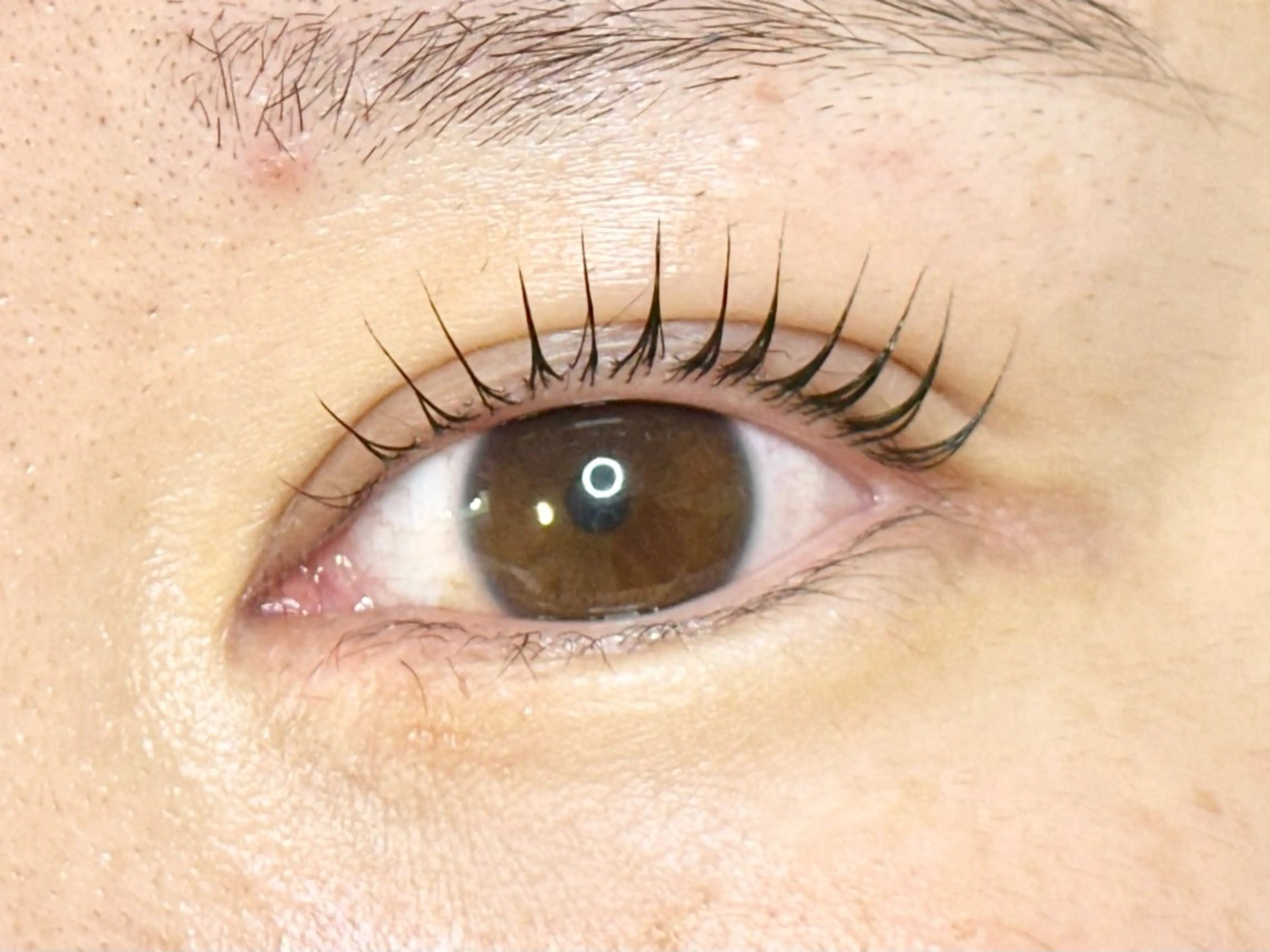 🌹パリジェンヌラッシュリフト🌹の写真