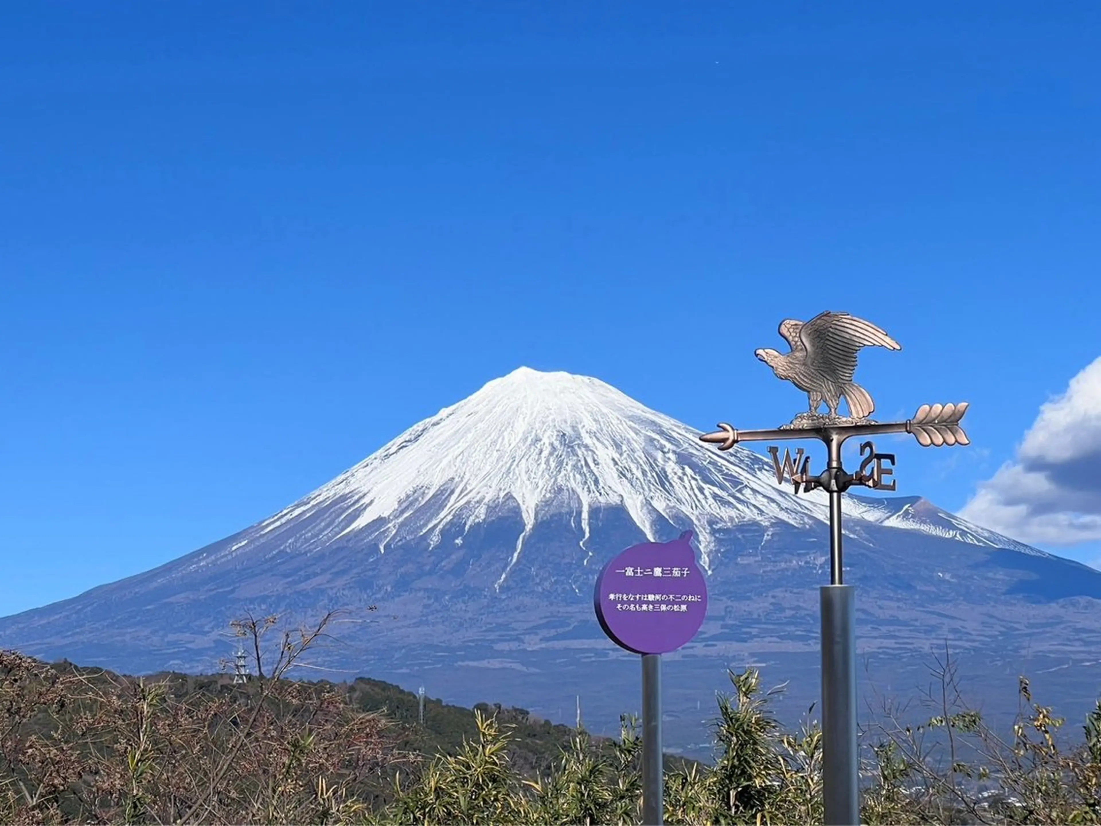 丸の内ヒルズ 今井琴恵のその他イメージ