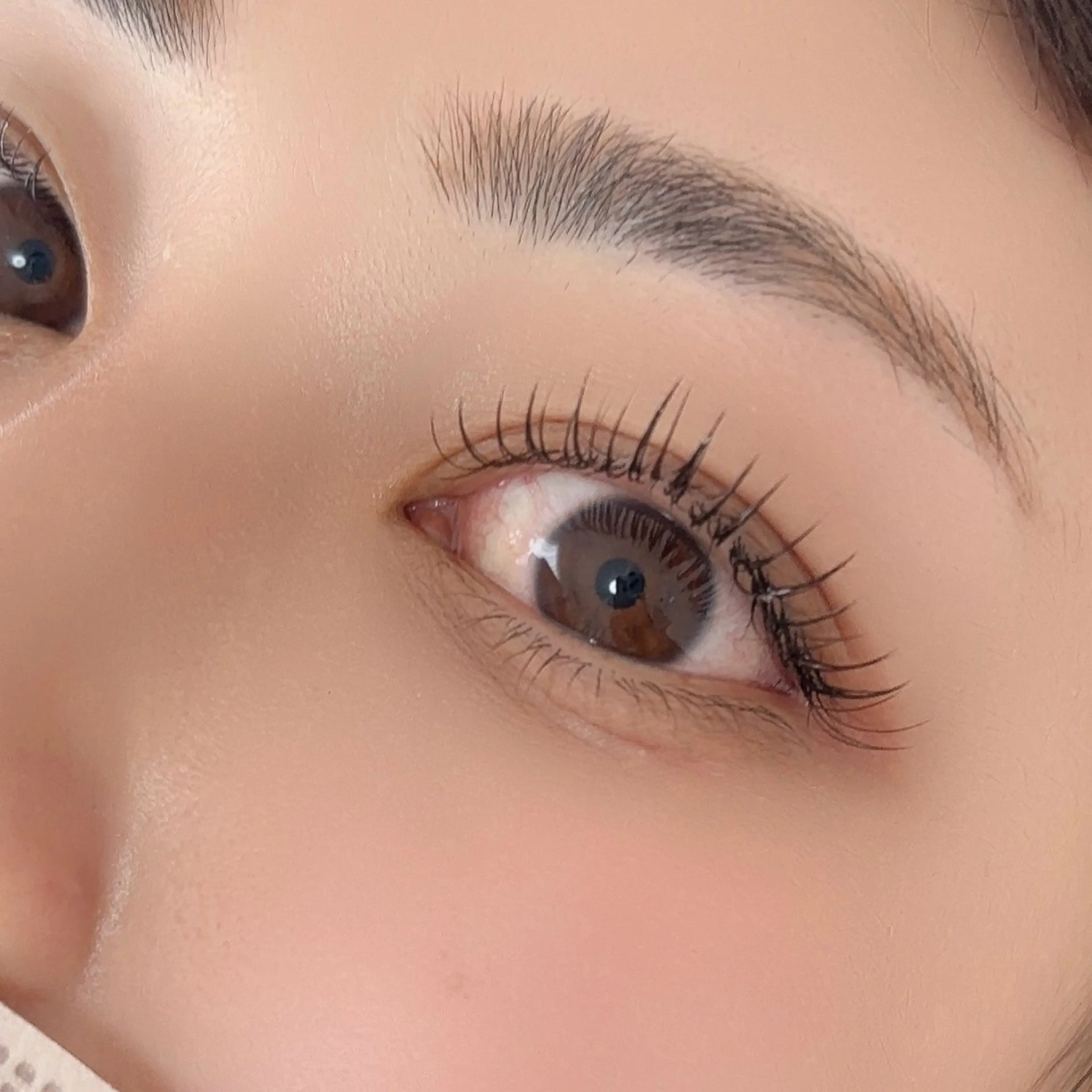 ミニモ限定ﾌﾗｯﾄﾗｯｼｭ120本(60/60)の写真