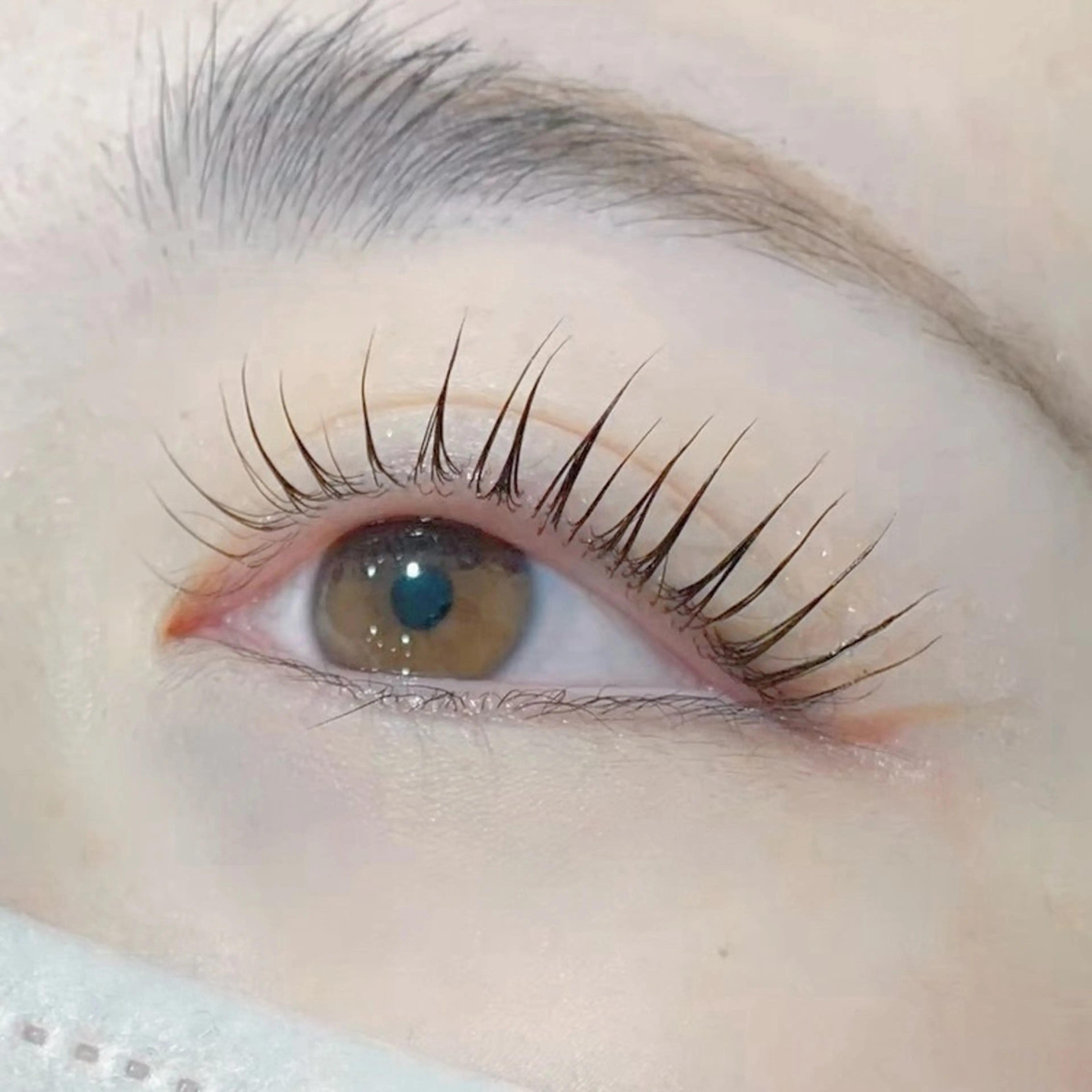 マツエク・マツパ パリジェンヌラッシュリフト マツパ eyelist 馬場のマツエク・マツパデザイン