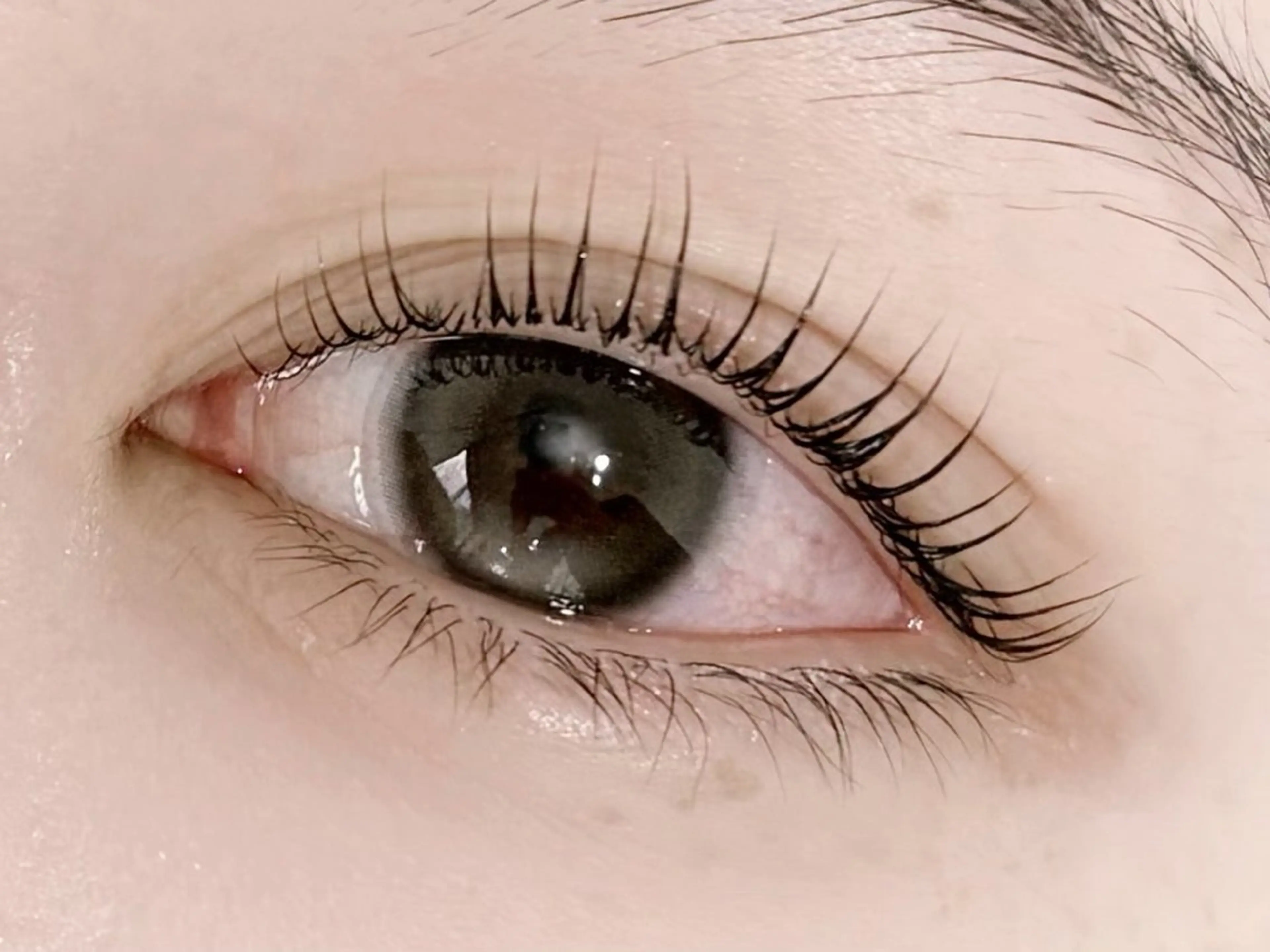 マツエク・マツパ パリジェンヌラッシュリフト まつげパーマ マツパ 💎マツエク/眉毛 パリジェンヌ渋谷💎の眉毛・アイブロウイメージ