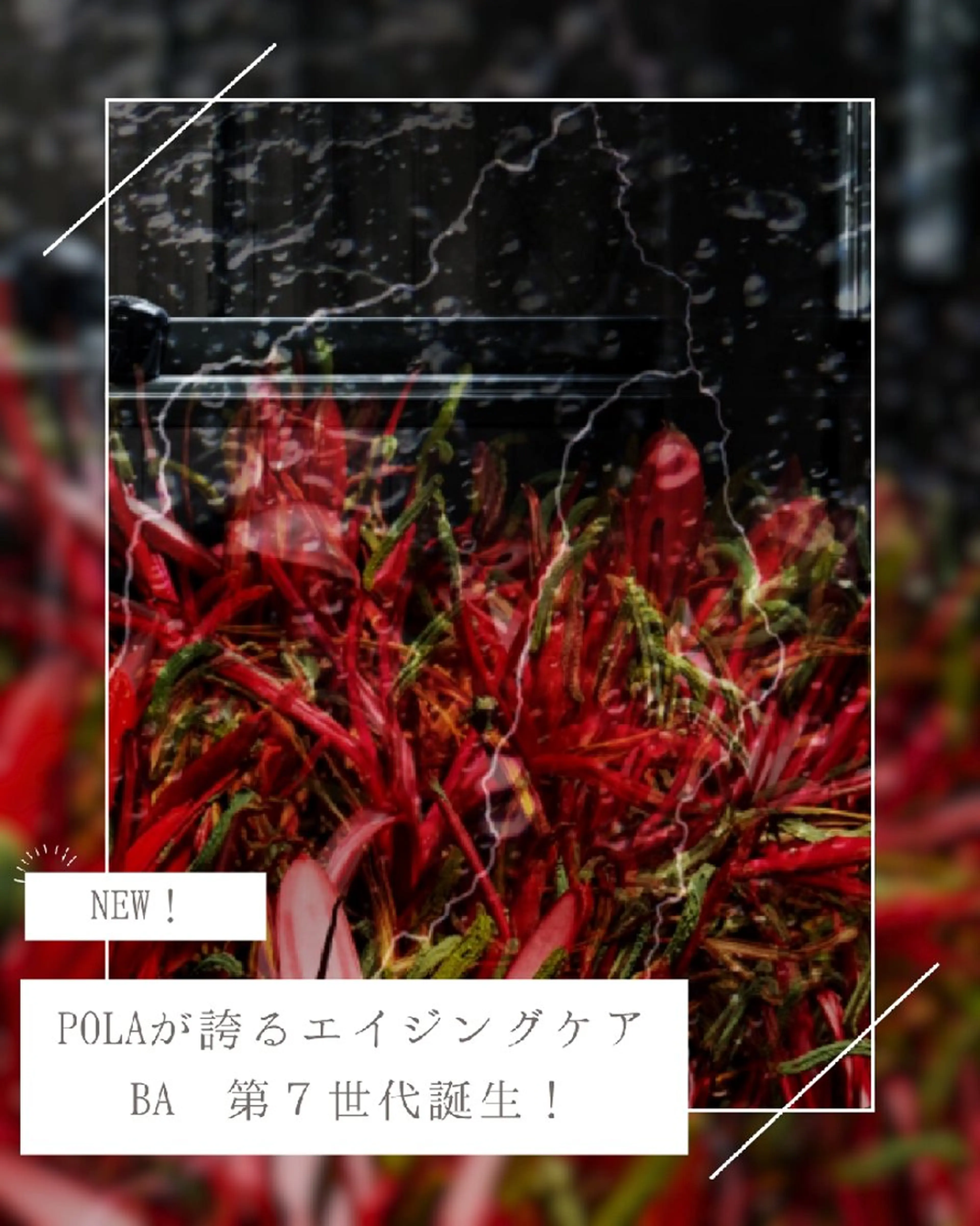 POLA(モラニー) ｍｏｒａｎｉｙのエステ・リラクイメージ