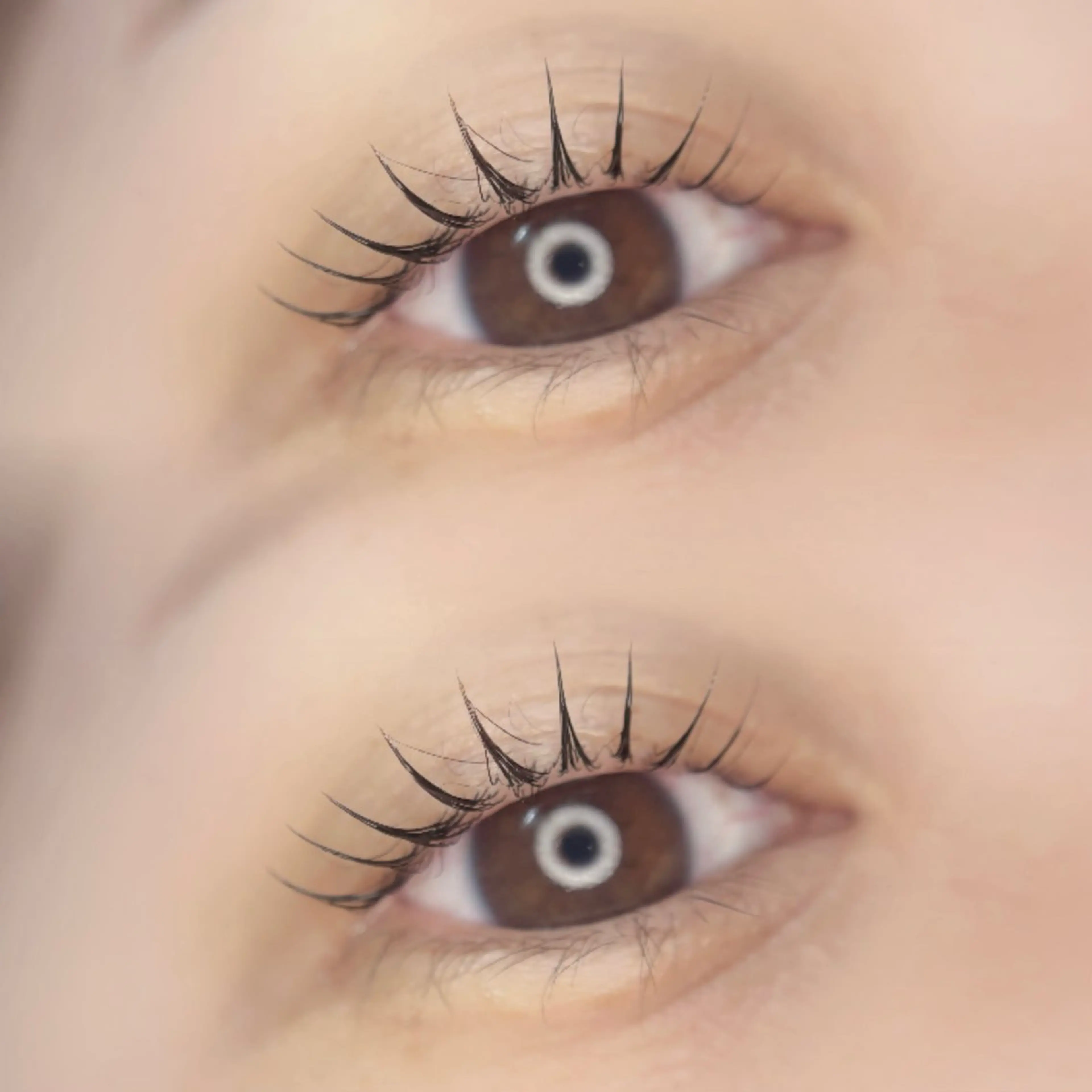 マツエク・マツパ まつげパーマ 一重×まつ毛パーマ マツパ 🦋MaaZlash 南流山FUKA🤍のマツエク・マツパデザイン