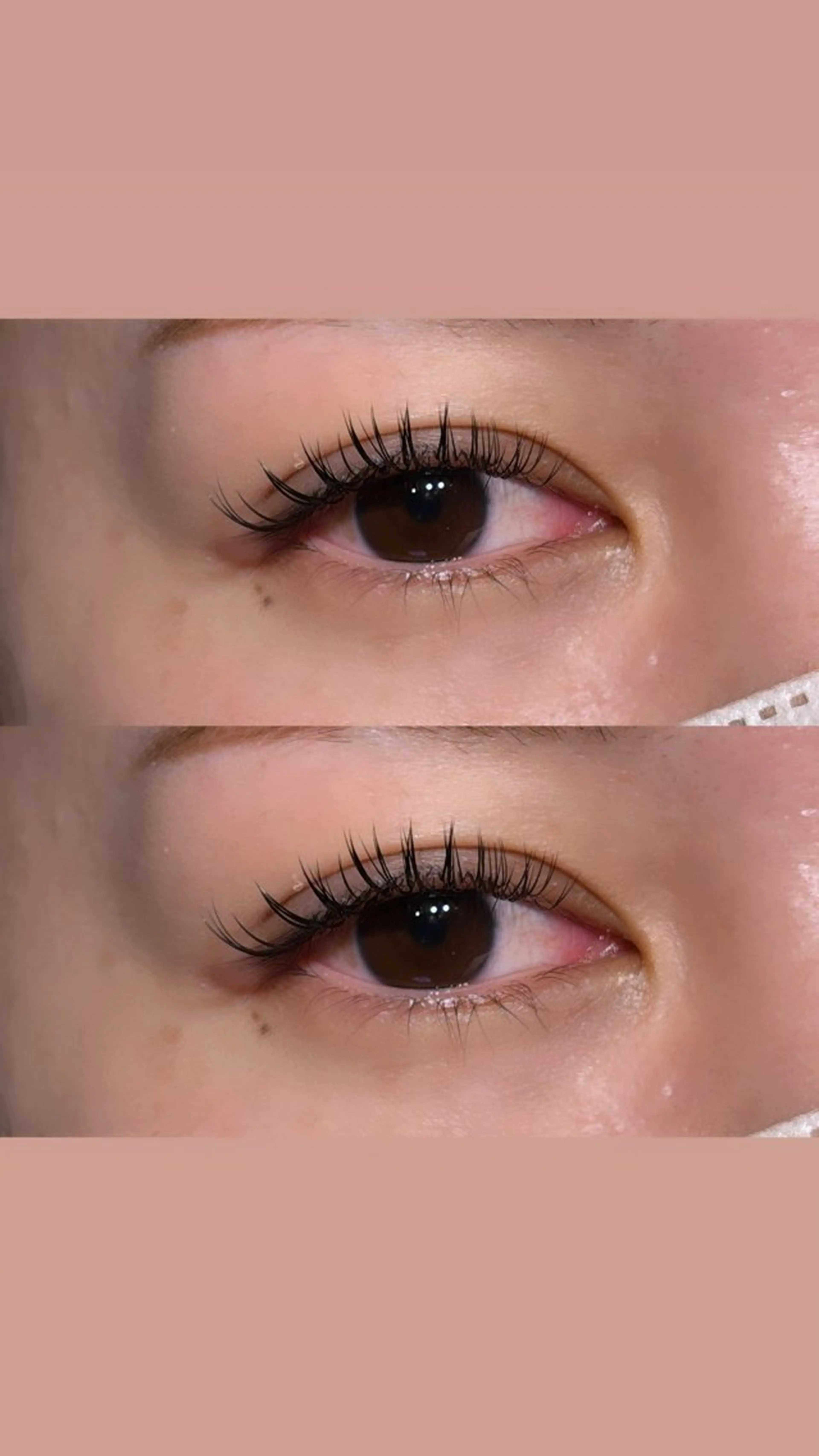 バインドロック80束🫧コーティング付き🎀の写真