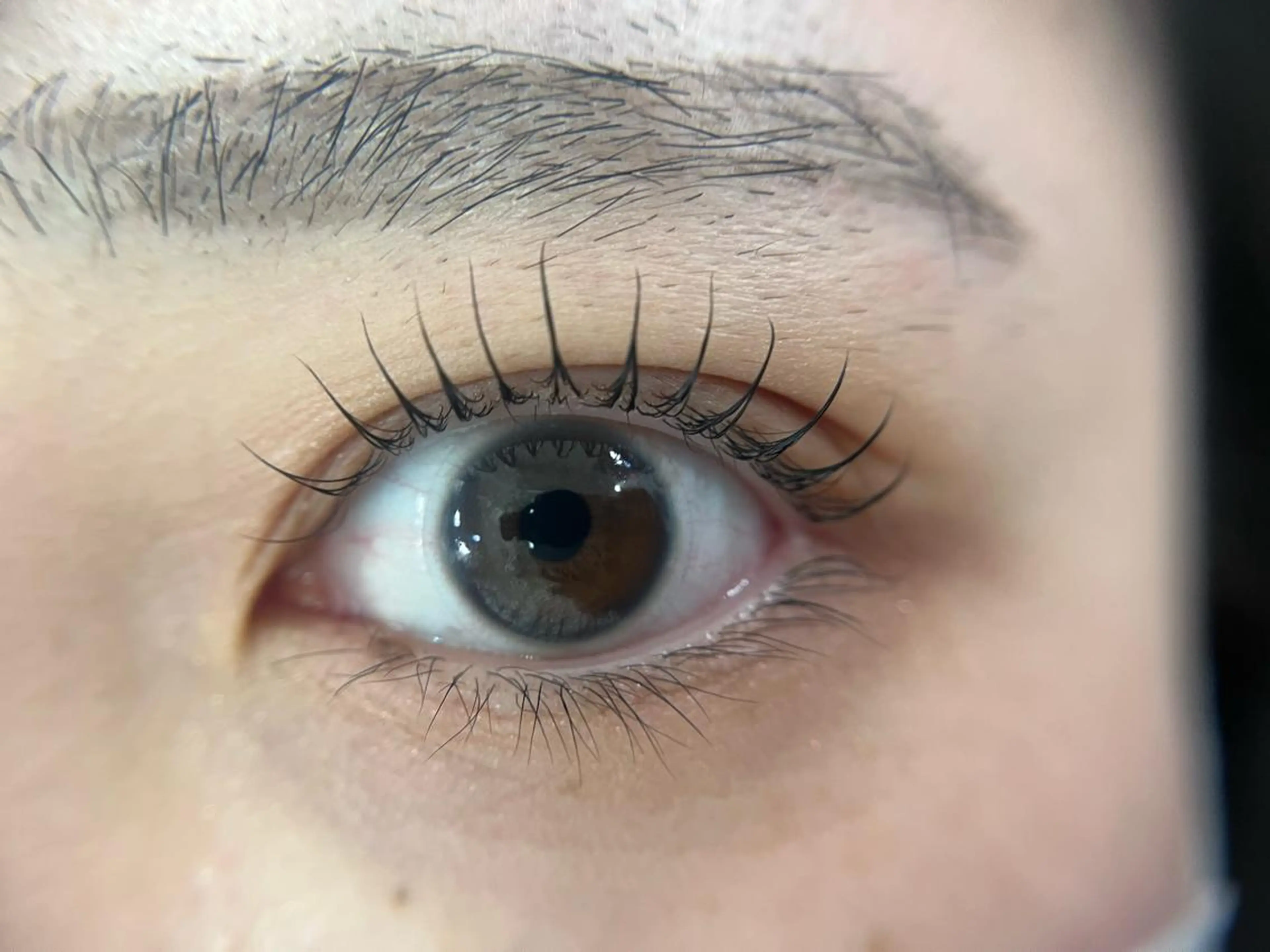 マツエク・マツパ マツパ -Ojiー セナのマツエク・マツパデザイン