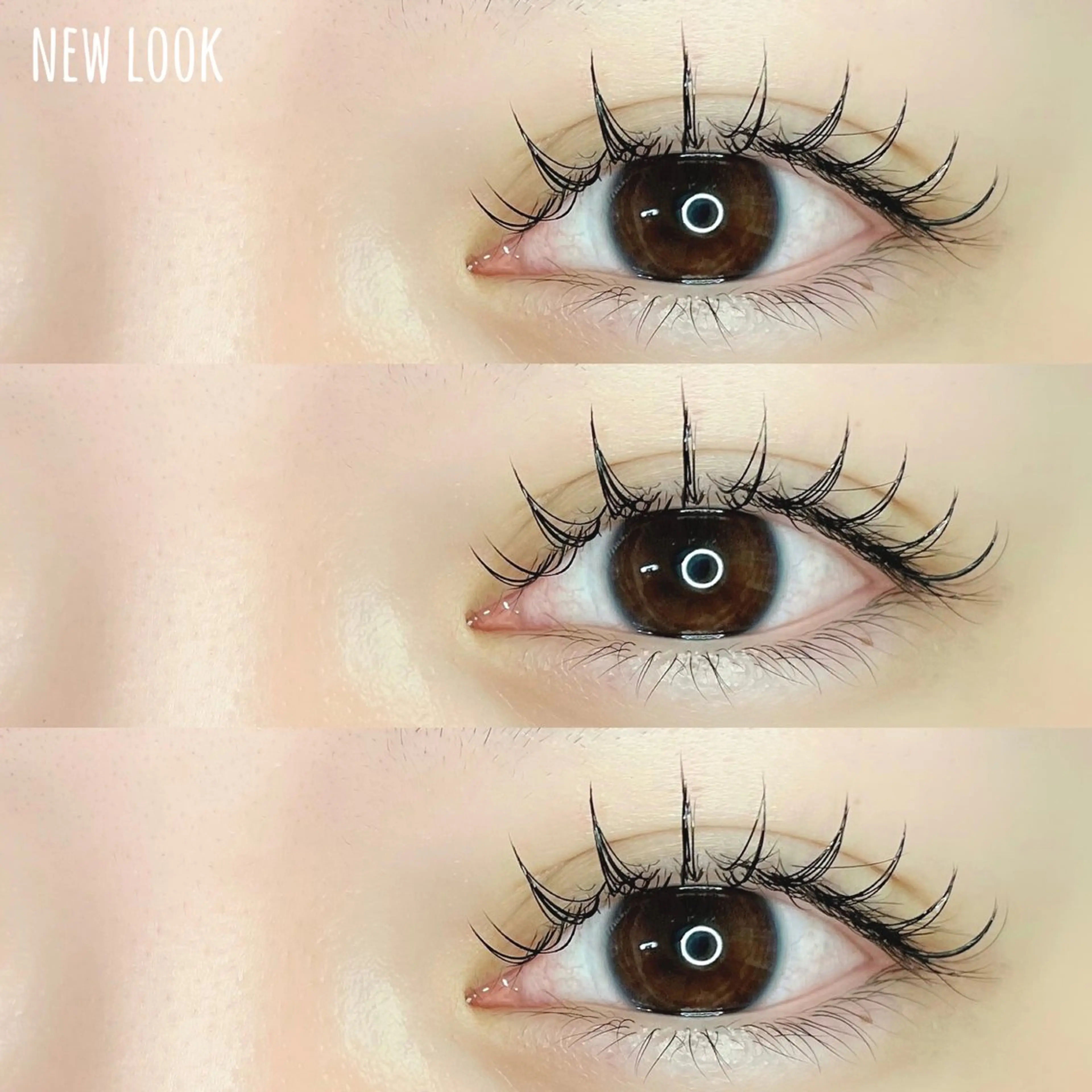 マツエク・マツパ マツエク NEW LOOKのマツエク・マツパデザイン