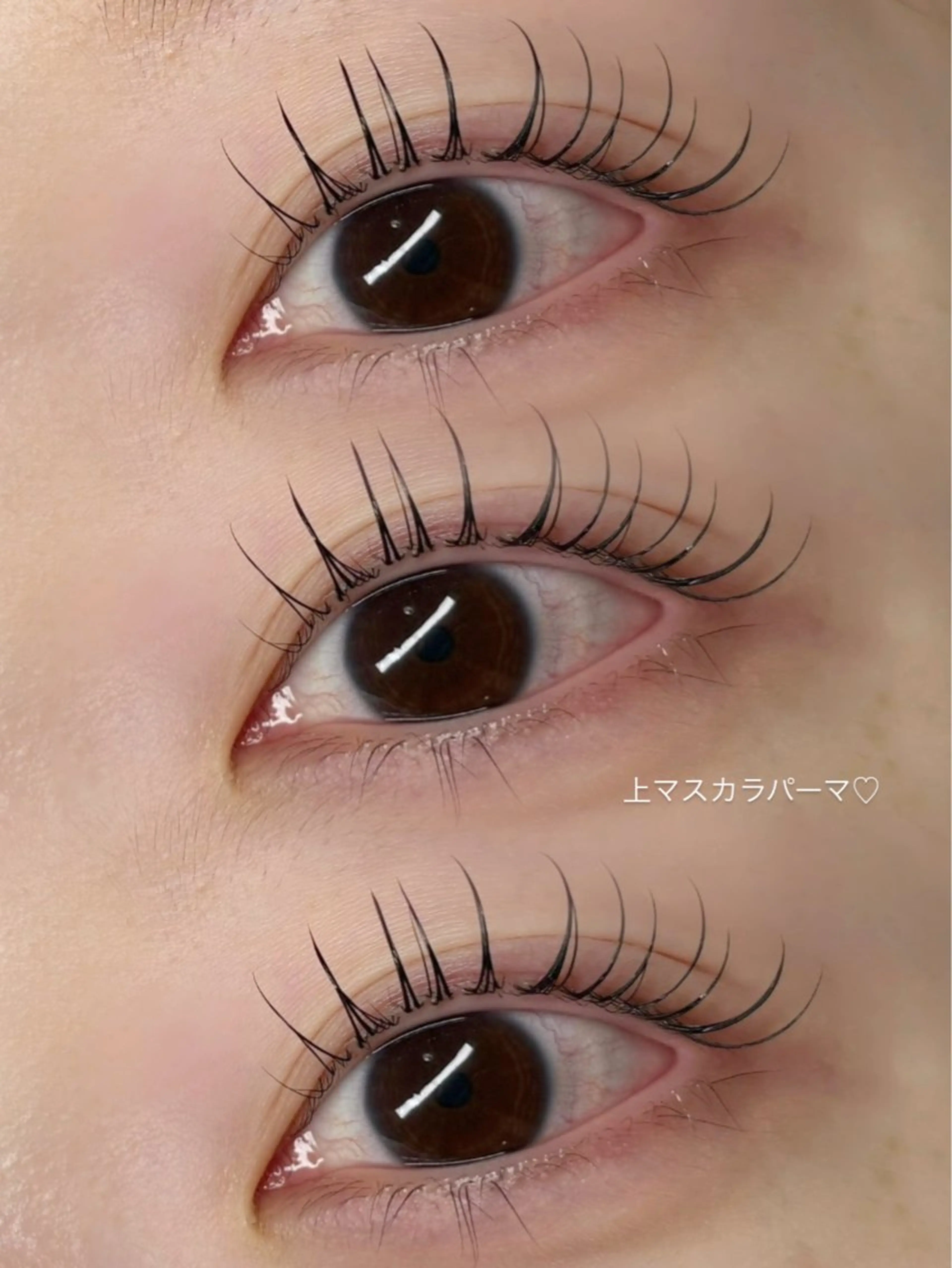 マツエク・マツパ ボウ🪞ヘアセット /マツパ/眉毛のマツエク・マツパデザイン