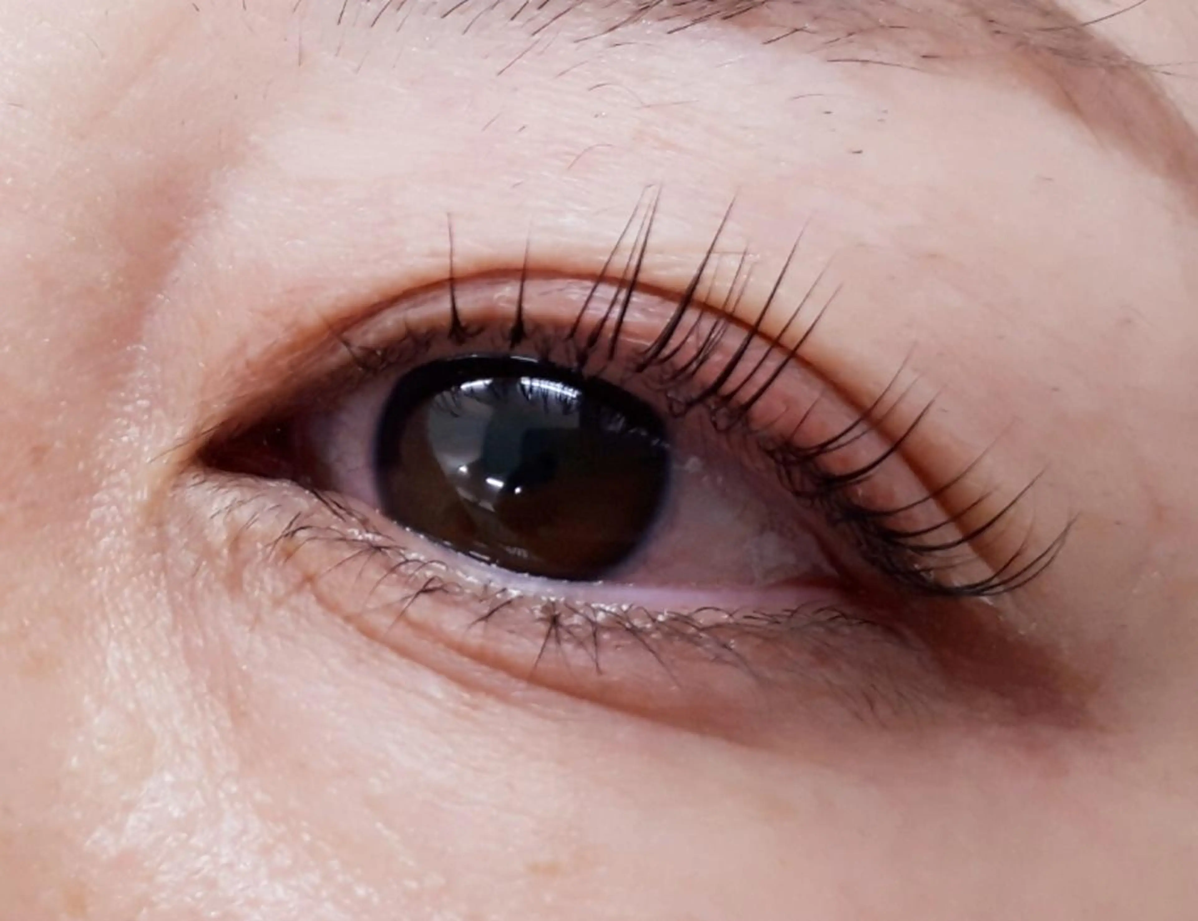 マツエク・マツパ まつ毛エクステ専門店　WIKIRA所属・おおさき ともこのマツエク・マツパデザイン