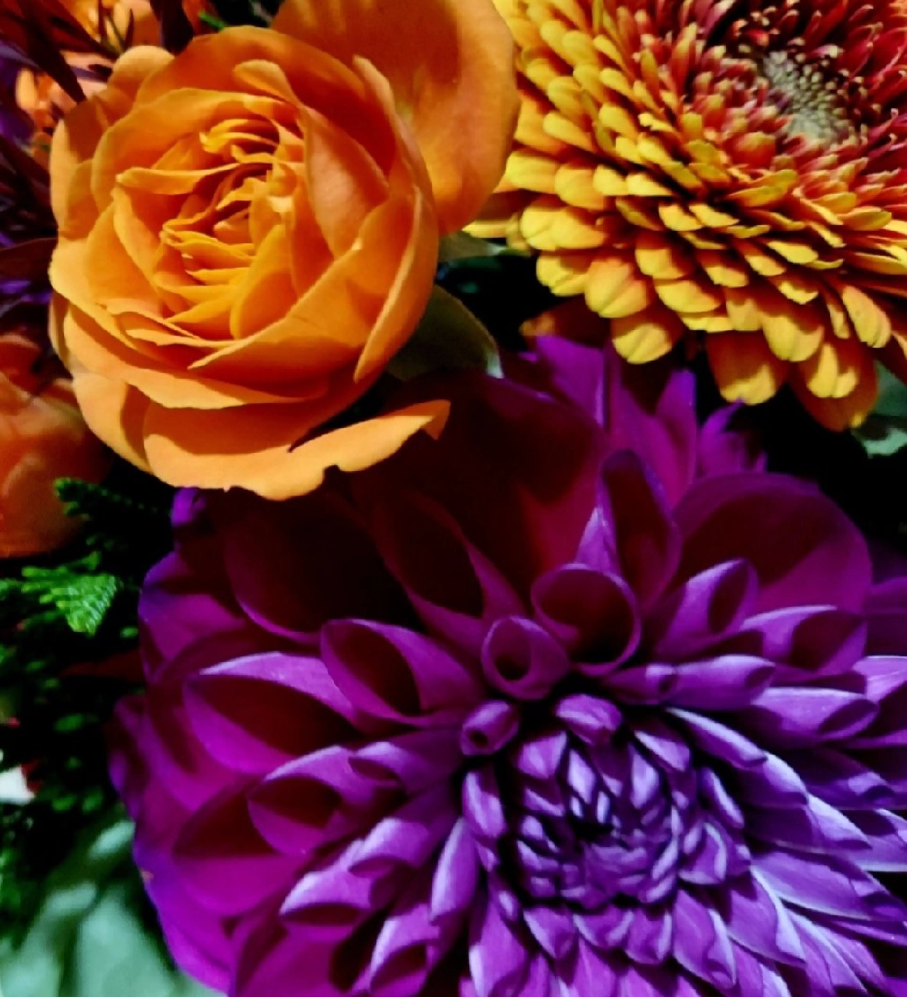 マツエク・マツパ マツエク コパン Copainのマツエク・マツパデザイン