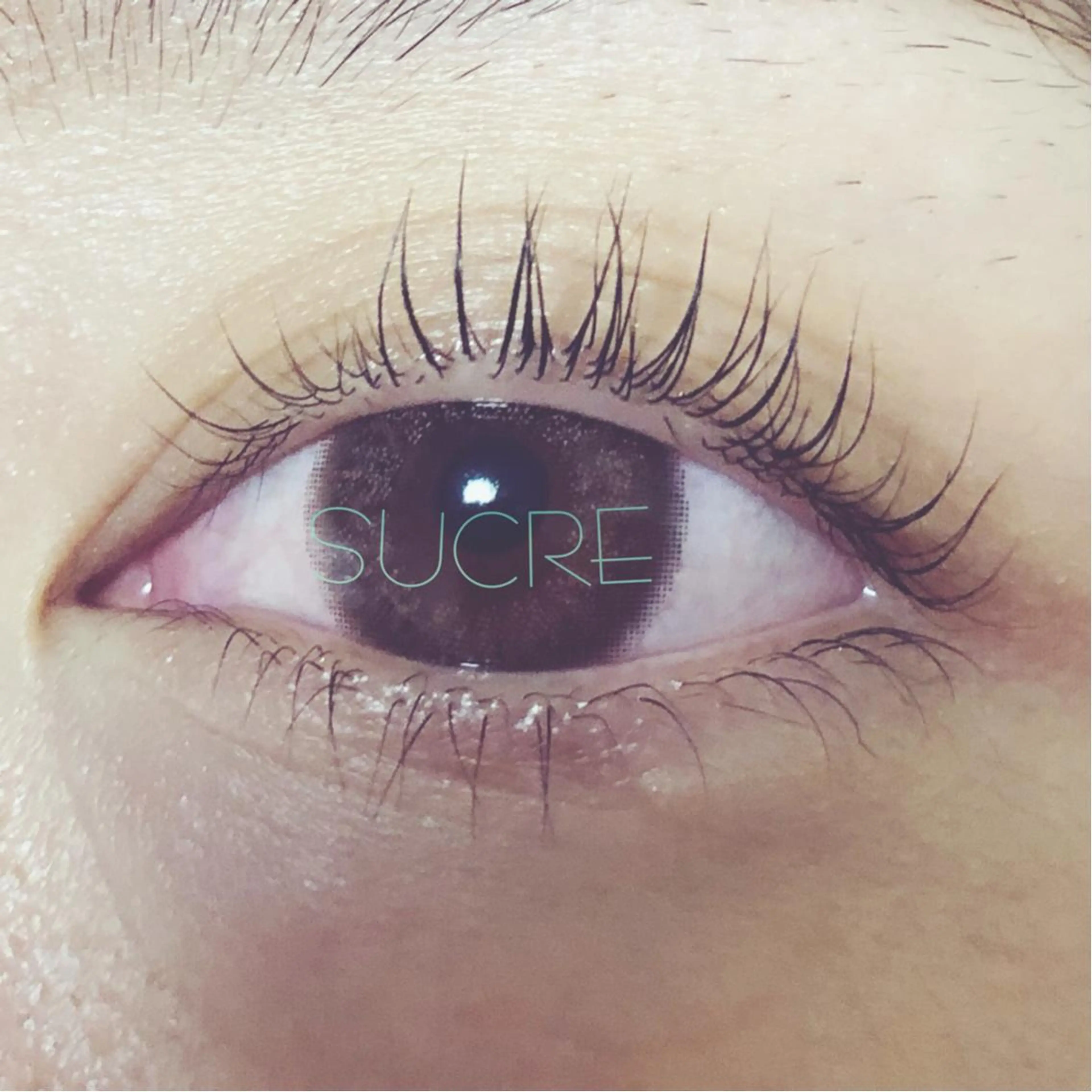 マツエク・マツパ Liz.&現ino 平田のマツエク・マツパデザイン