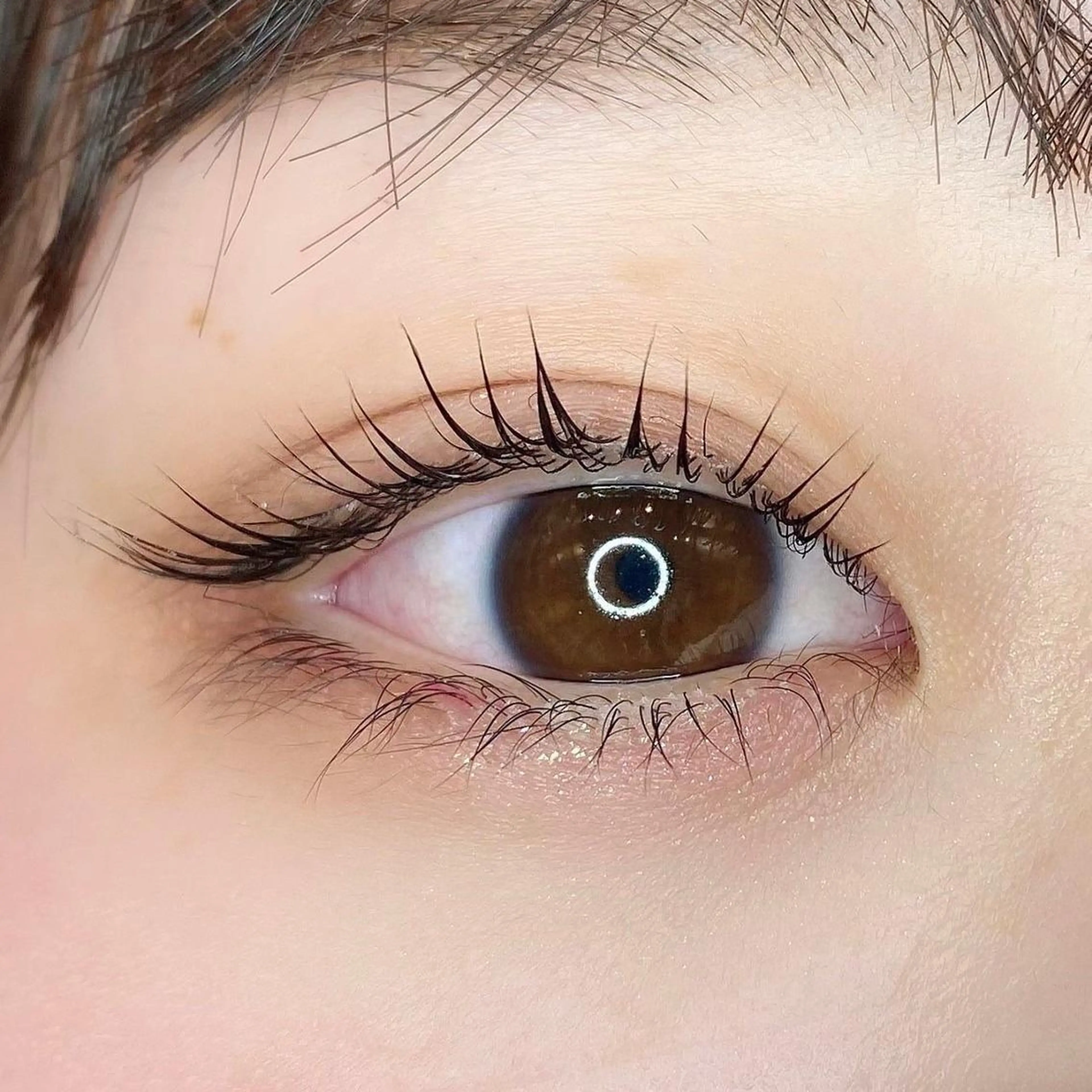 マツエク・マツパ まつげパーマ KURUMI🦋 まつエクまつパ美眉のマツエク・マツパデザイン