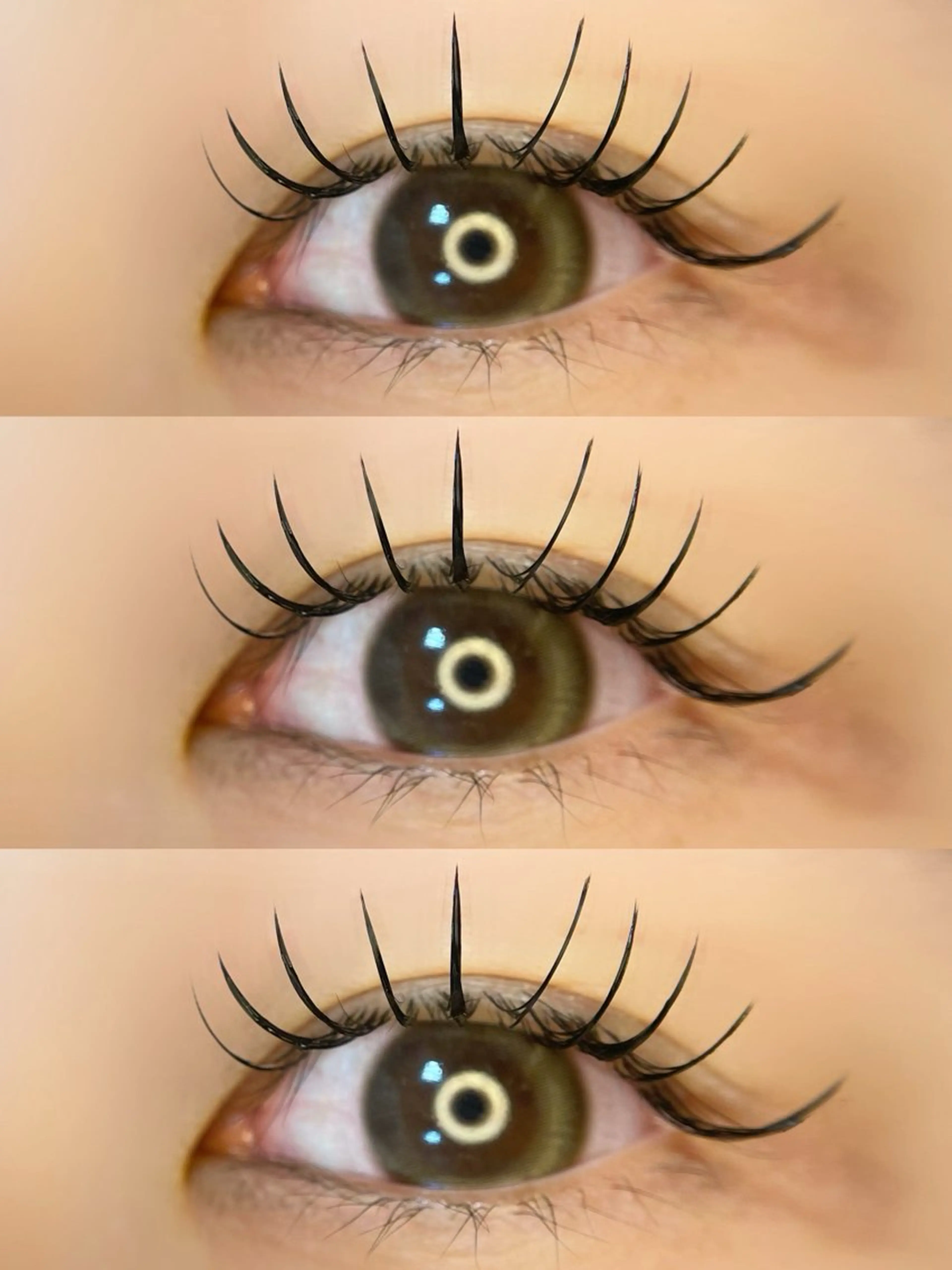 フラットラッシュ100本の写真