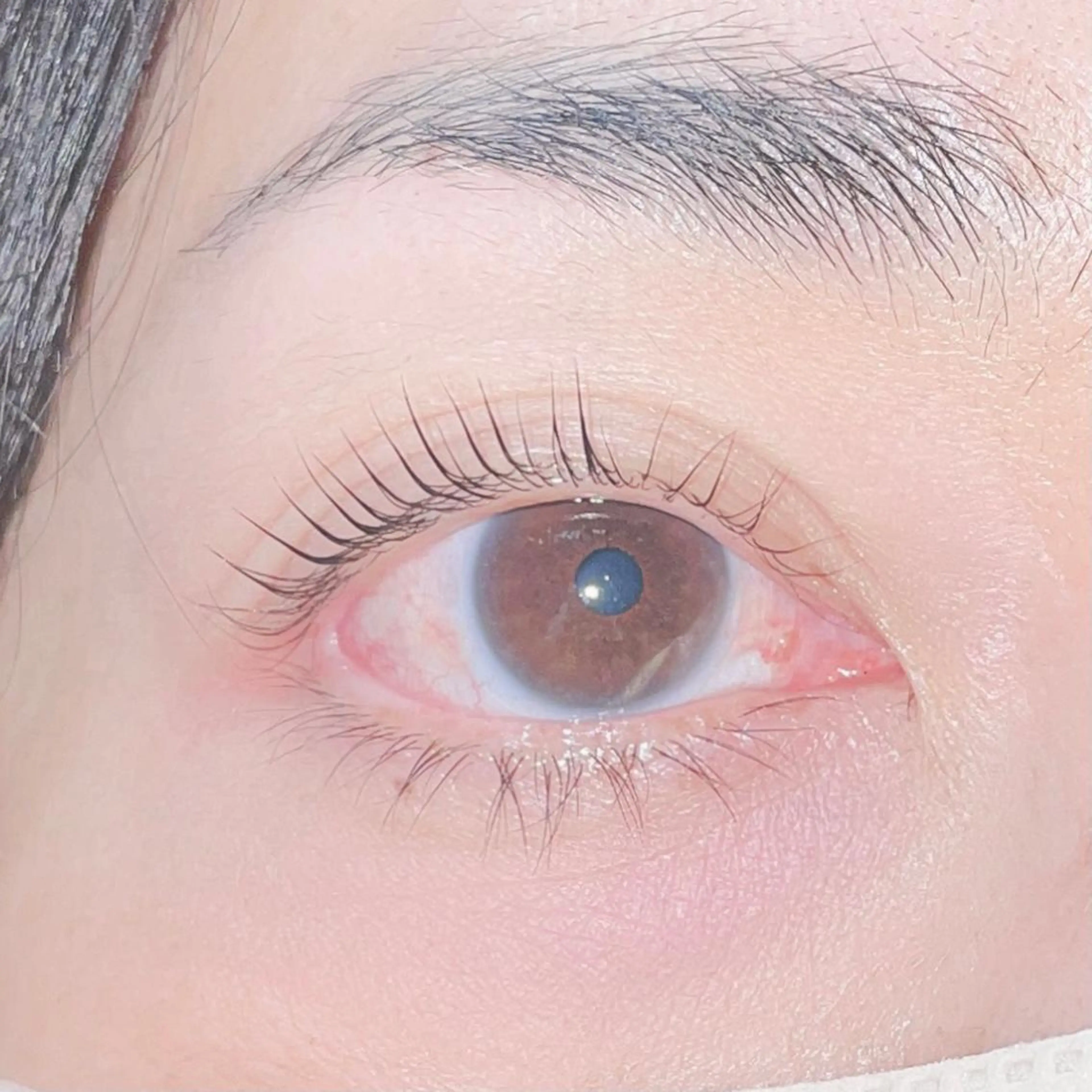 マツエク・マツパ 小湊理央 🐣LUCIA🐣のその他イメージ