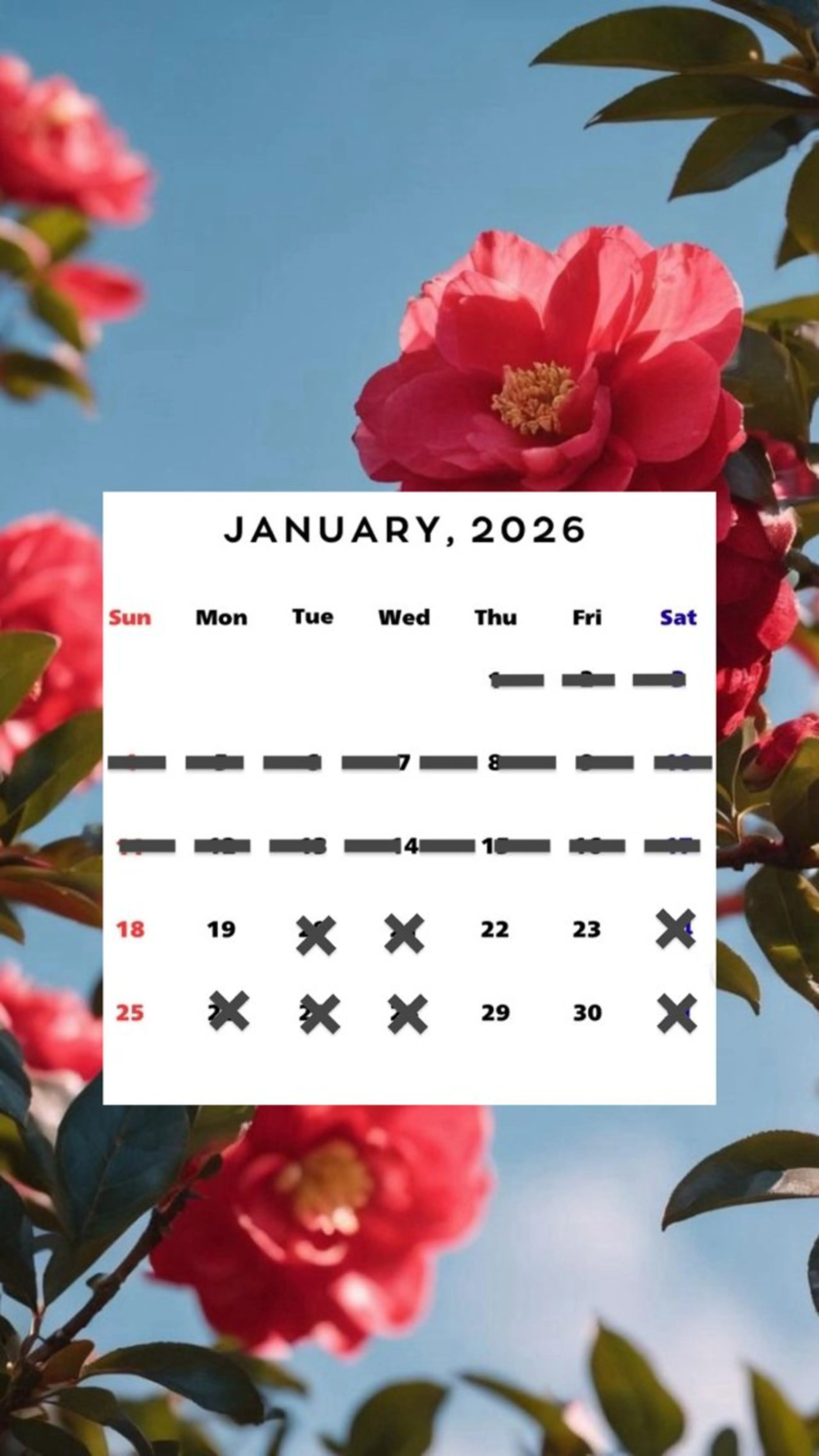 ショート Agu hair noman マナのヘアスタイル