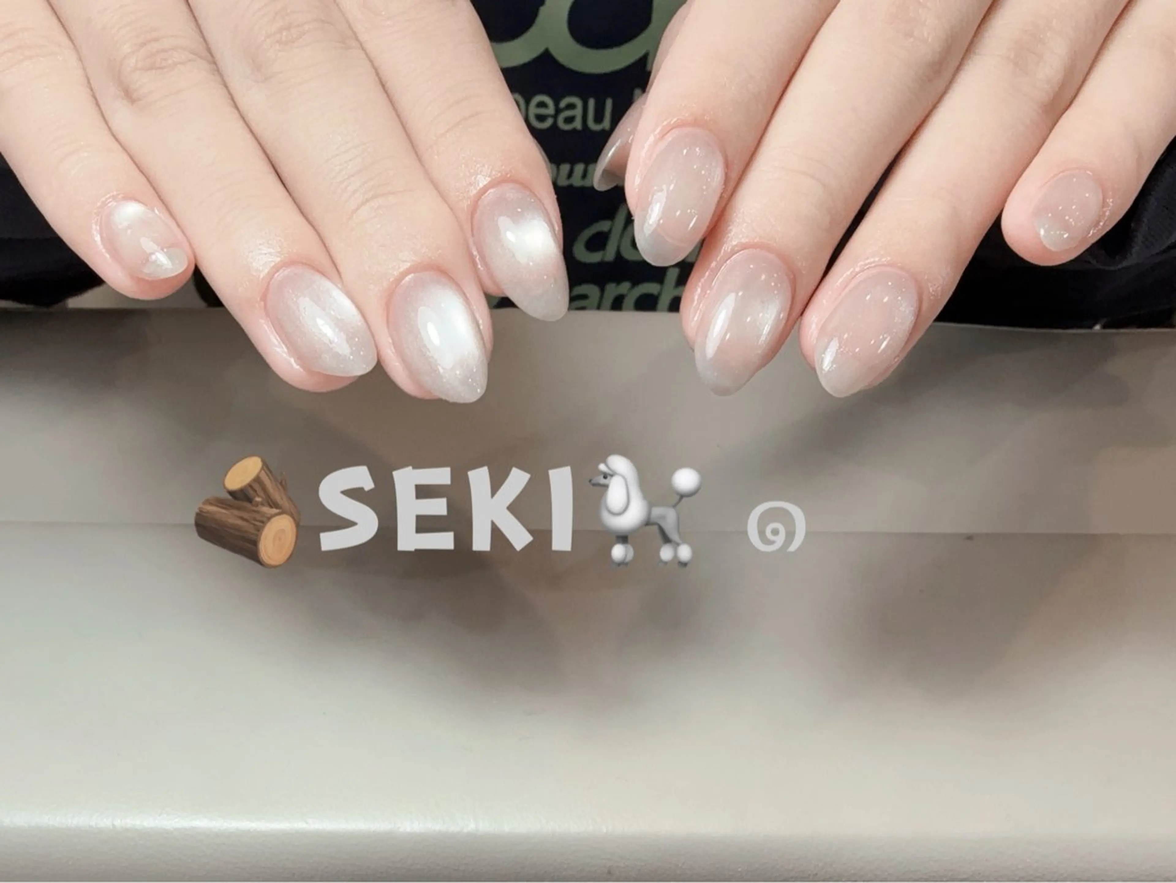 ネイル マグネットネイル ハンドネイル セ キのネイルデザイン