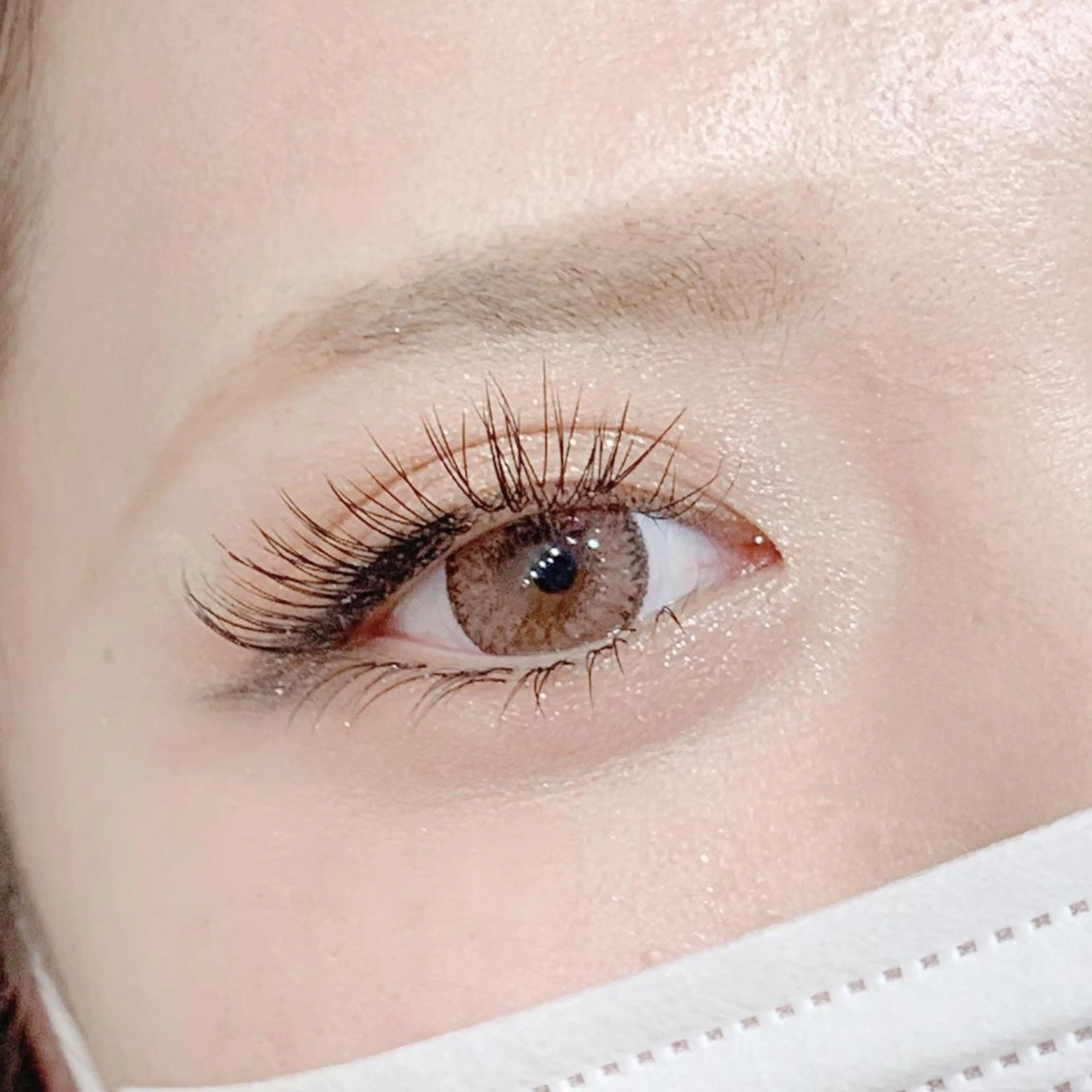 バインドロック100束(シングルラッシュ150本相当)の写真