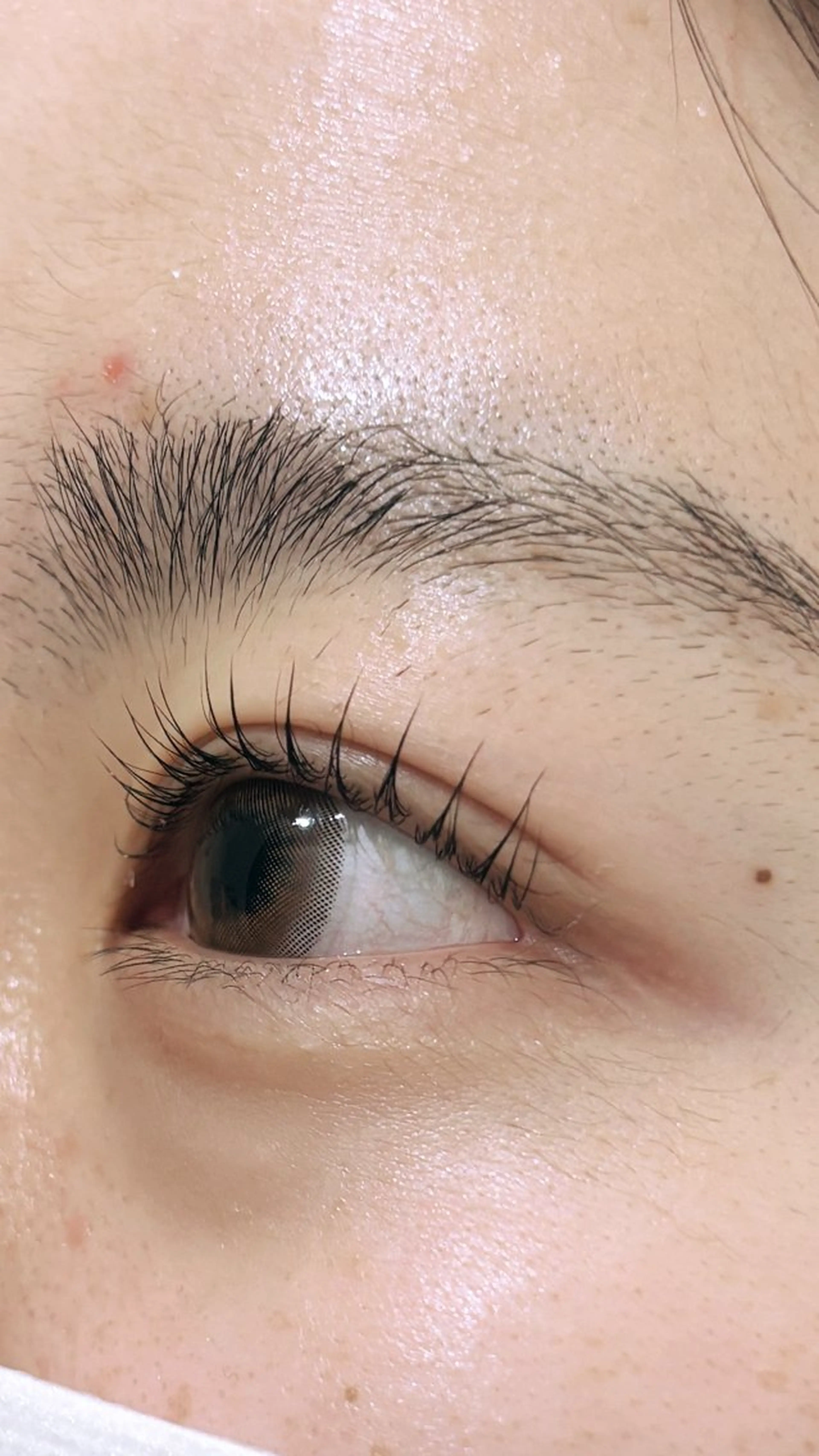 マツエク・マツパ 🌻SUZUKA .K🌻のマツエク・マツパデザイン