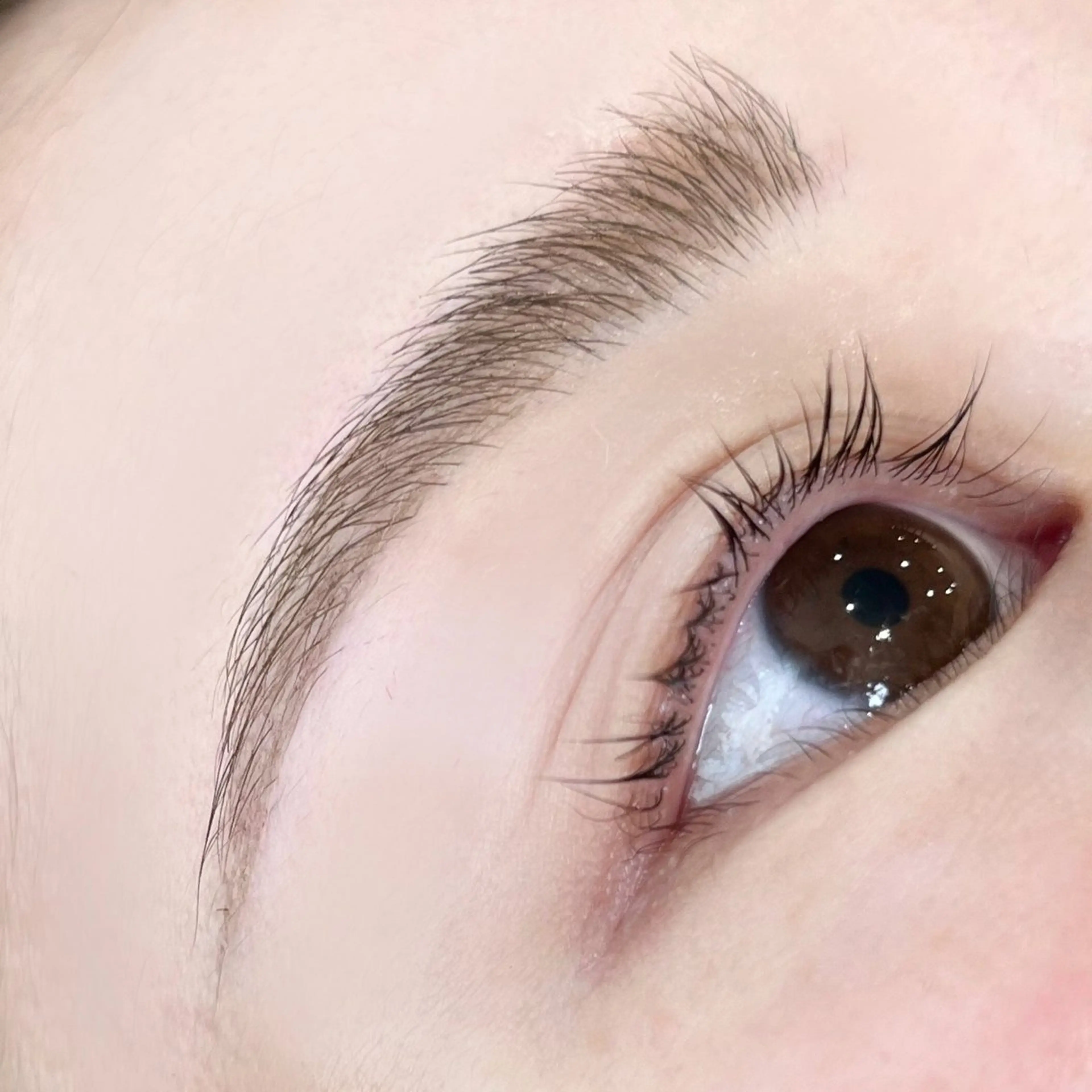 アイブロウ EYELA♡̴ ミウラのマツエク・マツパデザイン