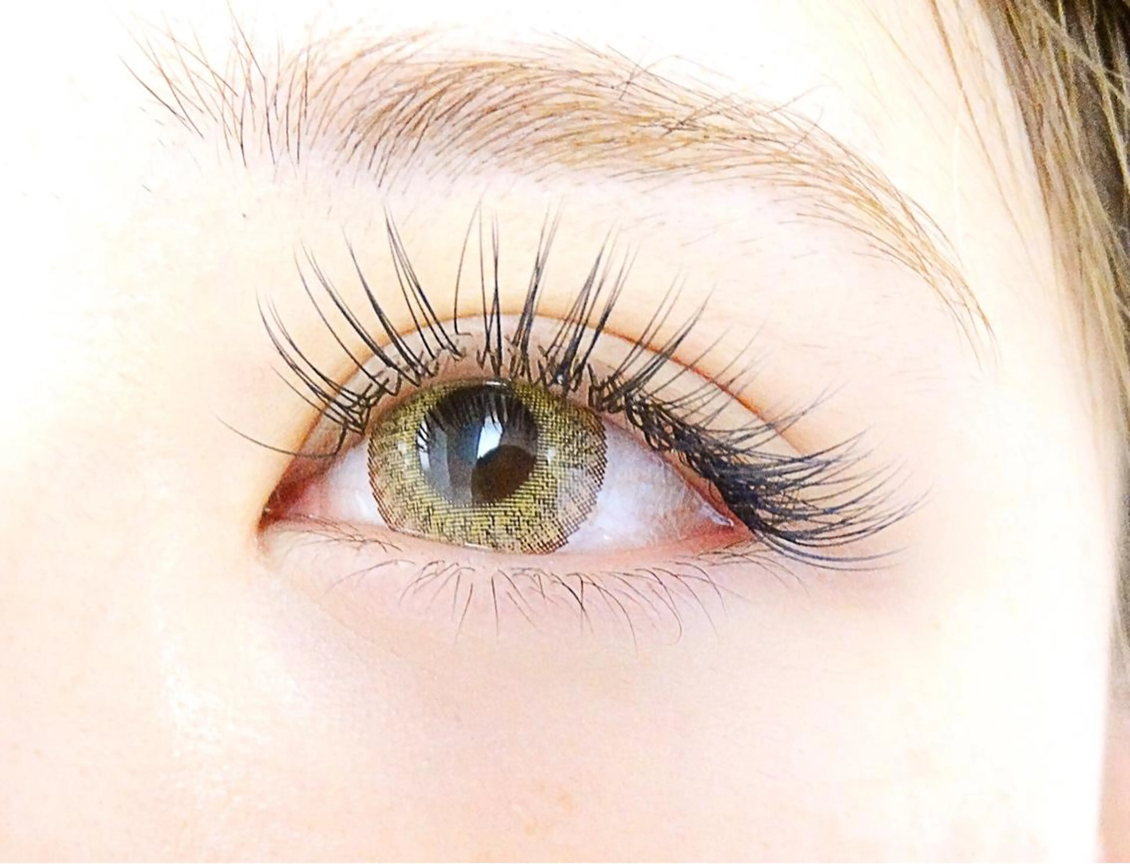 【再来】逆まつげ、一重、奥二重の方必見✳︎LDカール上付け放題(オフ無料・時間、本数無制限)の写真