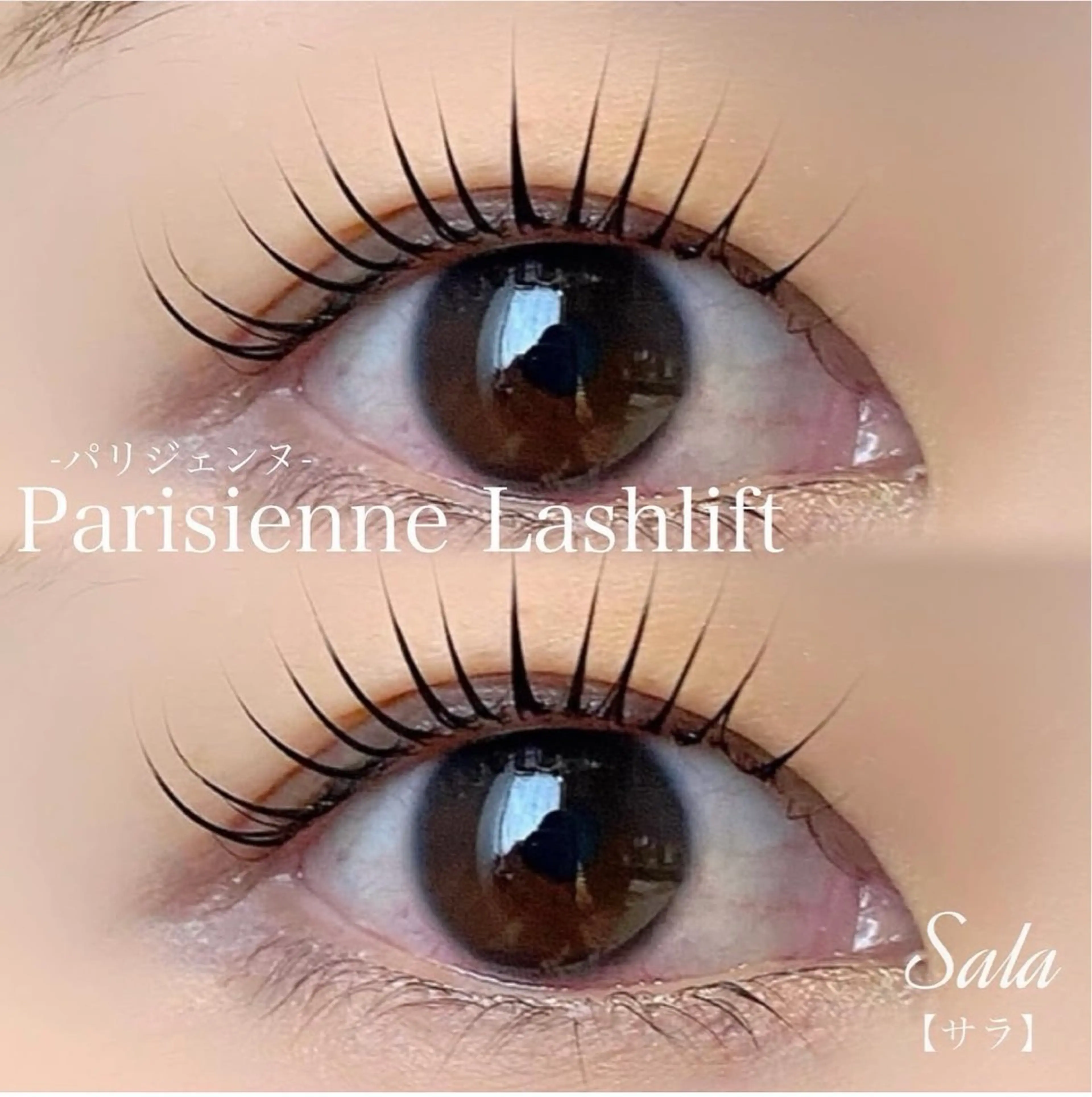 マツエク・マツパ パリジェンヌラッシュリフト トータルビューティー サロンSalaのマツエク・マツパデザイン