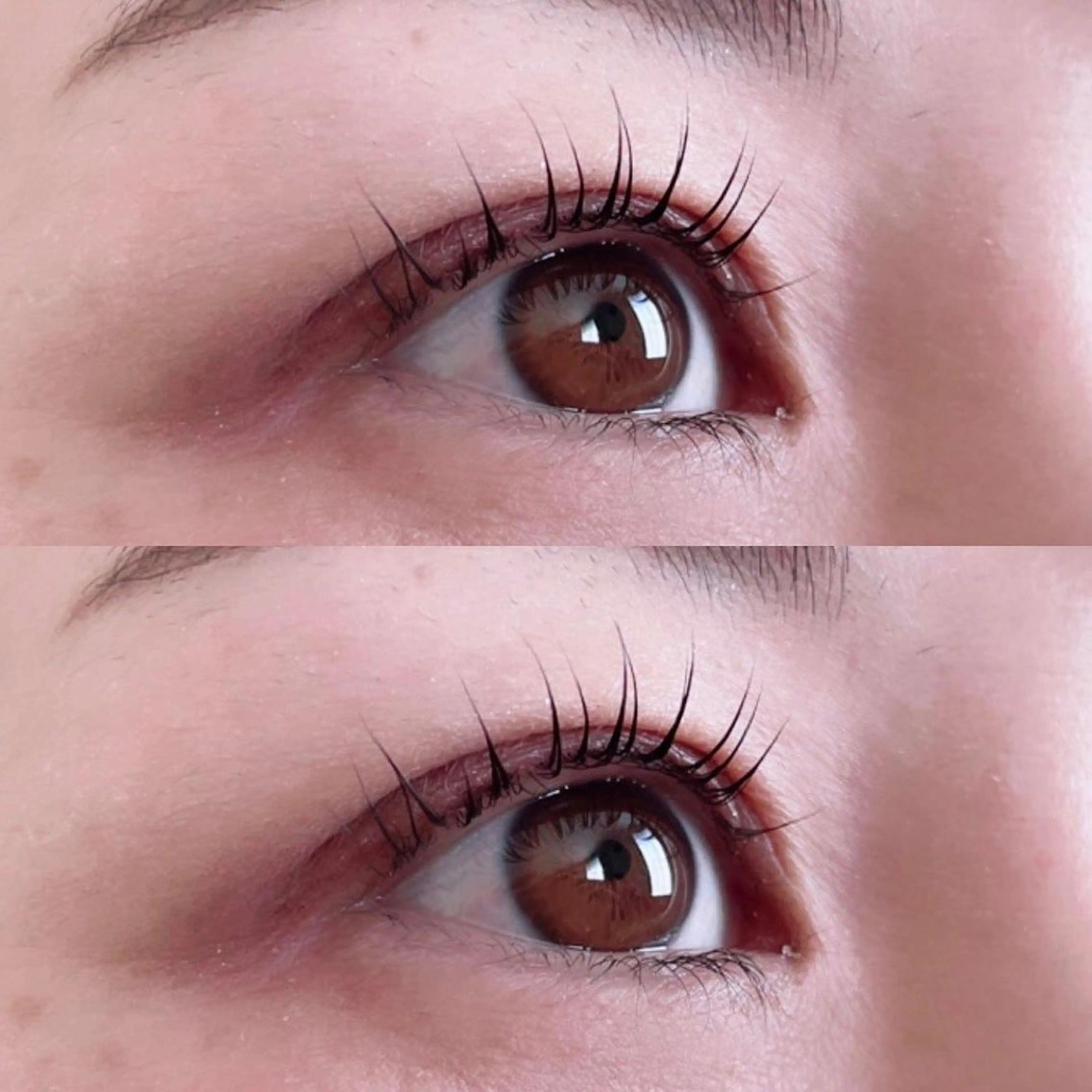 まつ毛パーマ(ブラックカラートリートメント付き)の写真