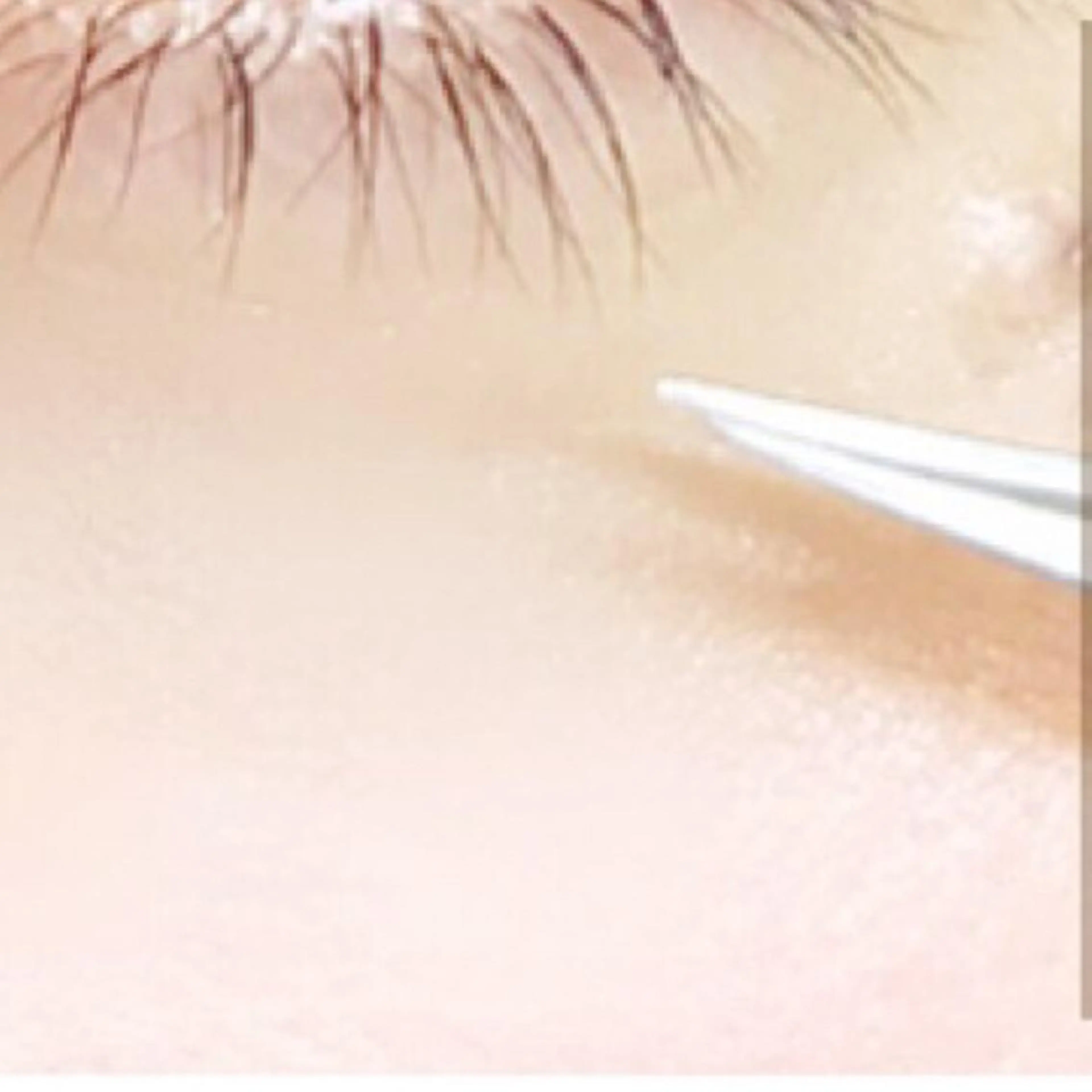 マツエク・マツパ eyelash- r🌹の眉毛・アイブロウイメージ