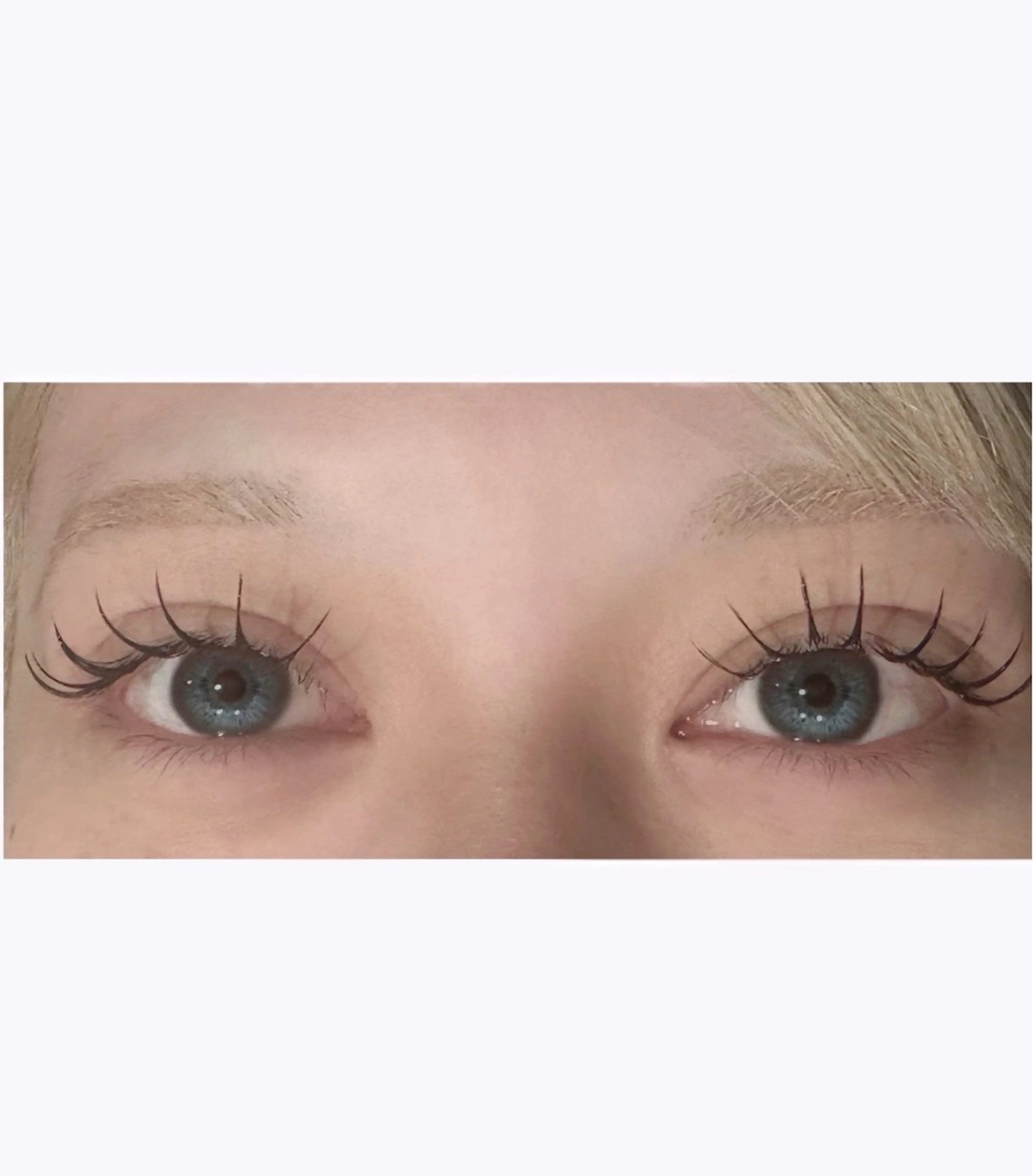 上120本×下まつげエクステ30本🫧コーティング剤付き✨の写真