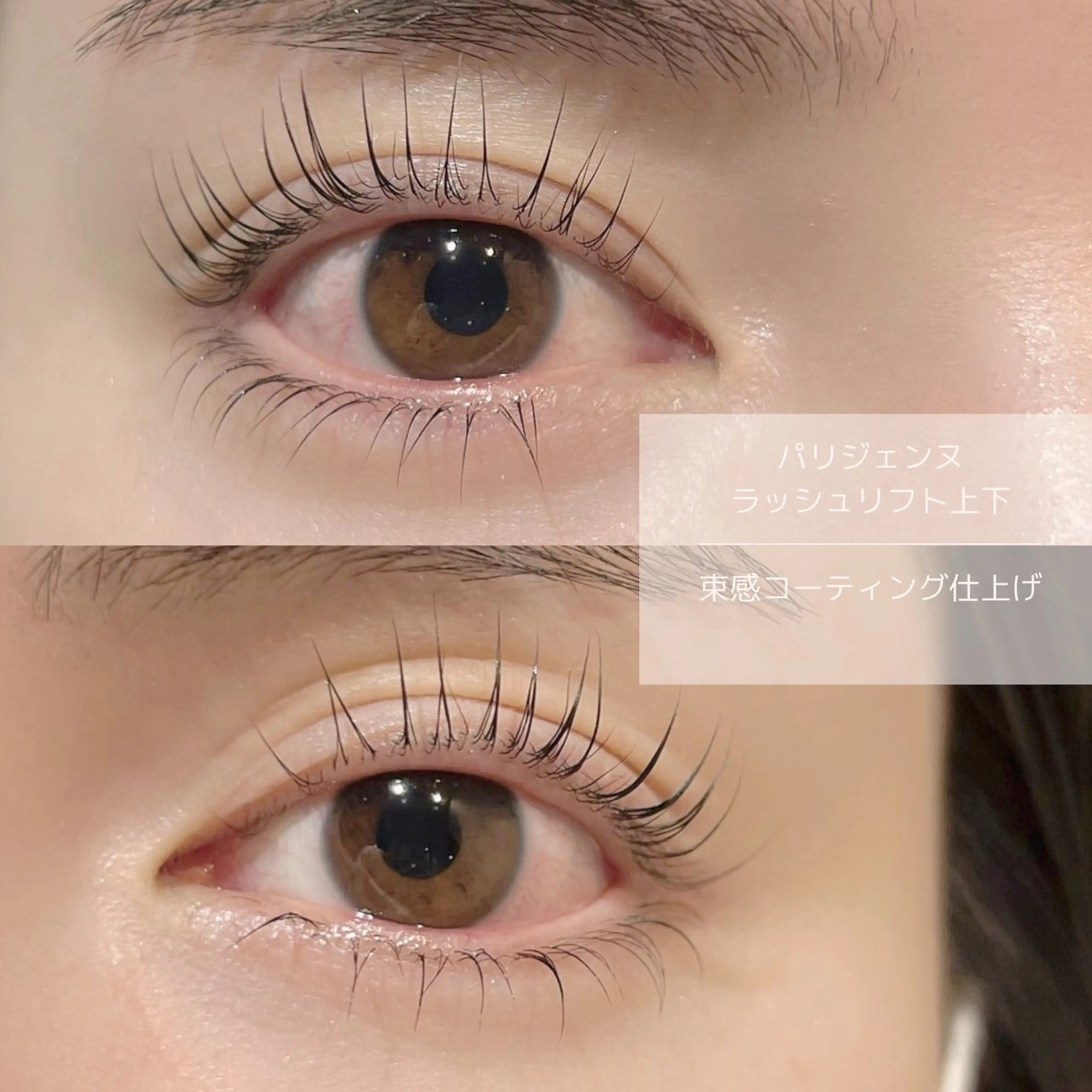 マツエク・マツパ 束感まつ毛 パリジェンヌラッシュリフト 一重×まつ毛パーマ マツパ 錦糸町eyelist RION🦋のマツエク・マツパデザイン