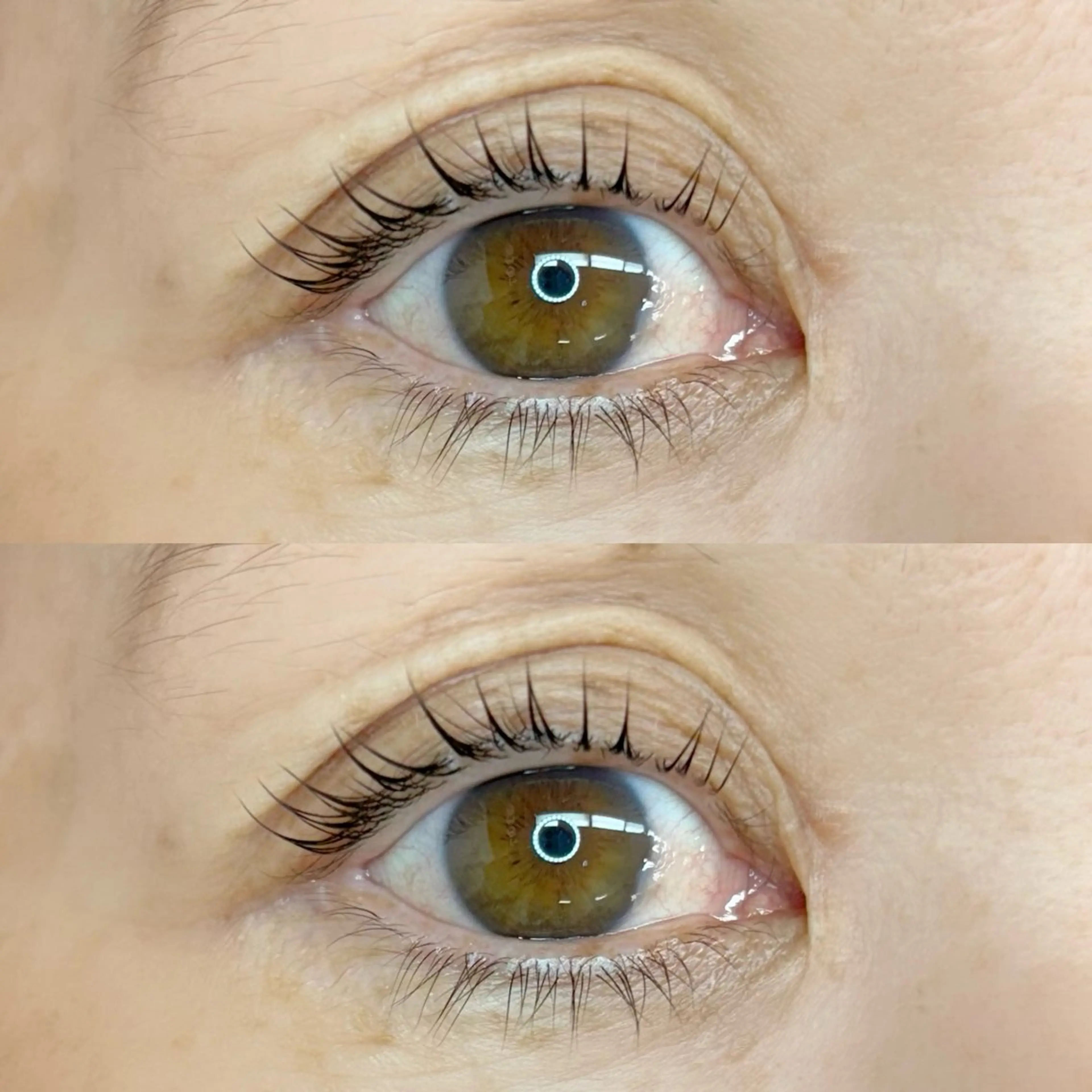 ラッシュリフト🌱【コーティング仕上げのみ】(担当ゆうり)の写真