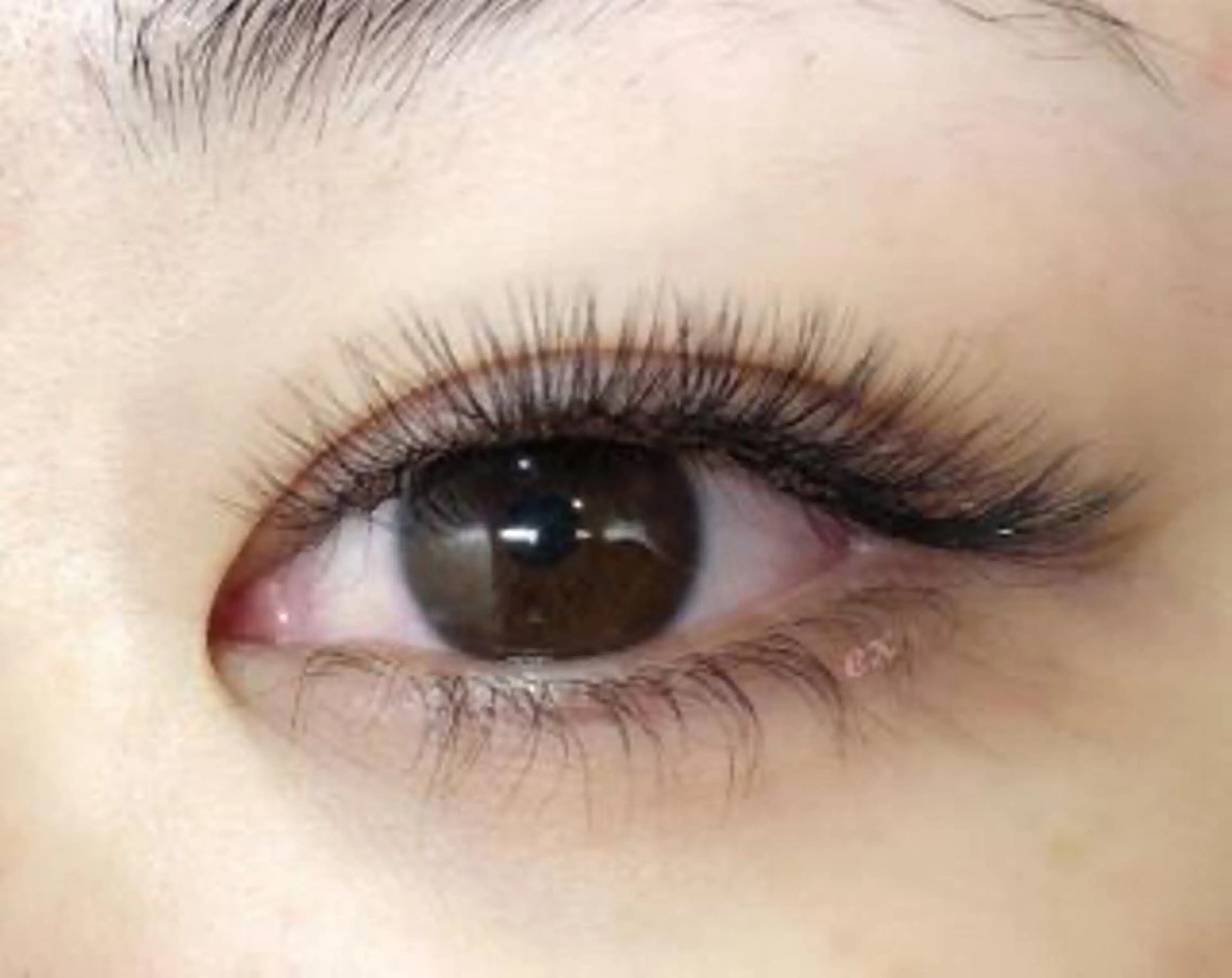 マツエク・マツパ ボリュームラッシュ まつげ屋さん こはくのマツエク・マツパデザイン