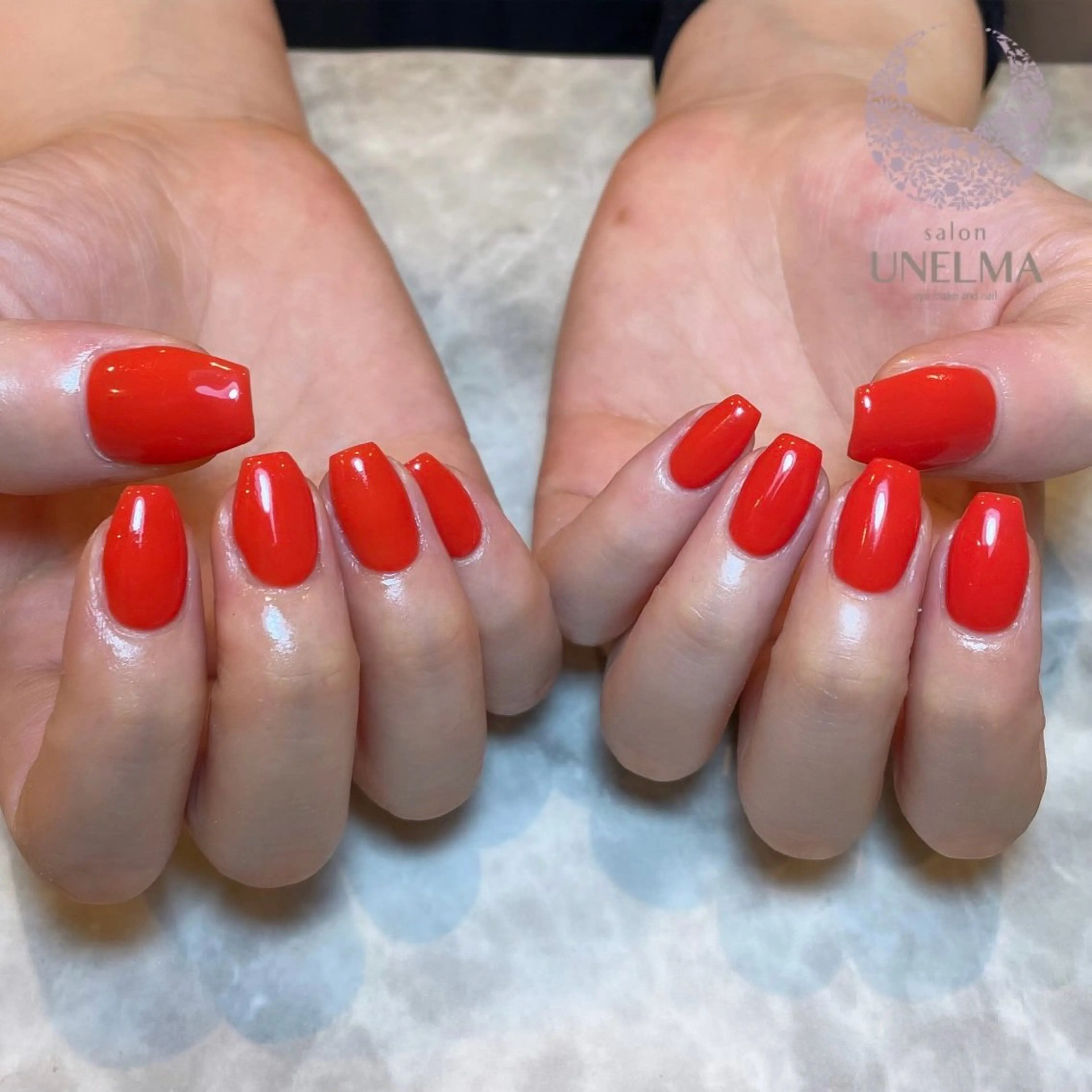 ワンカラーの写真