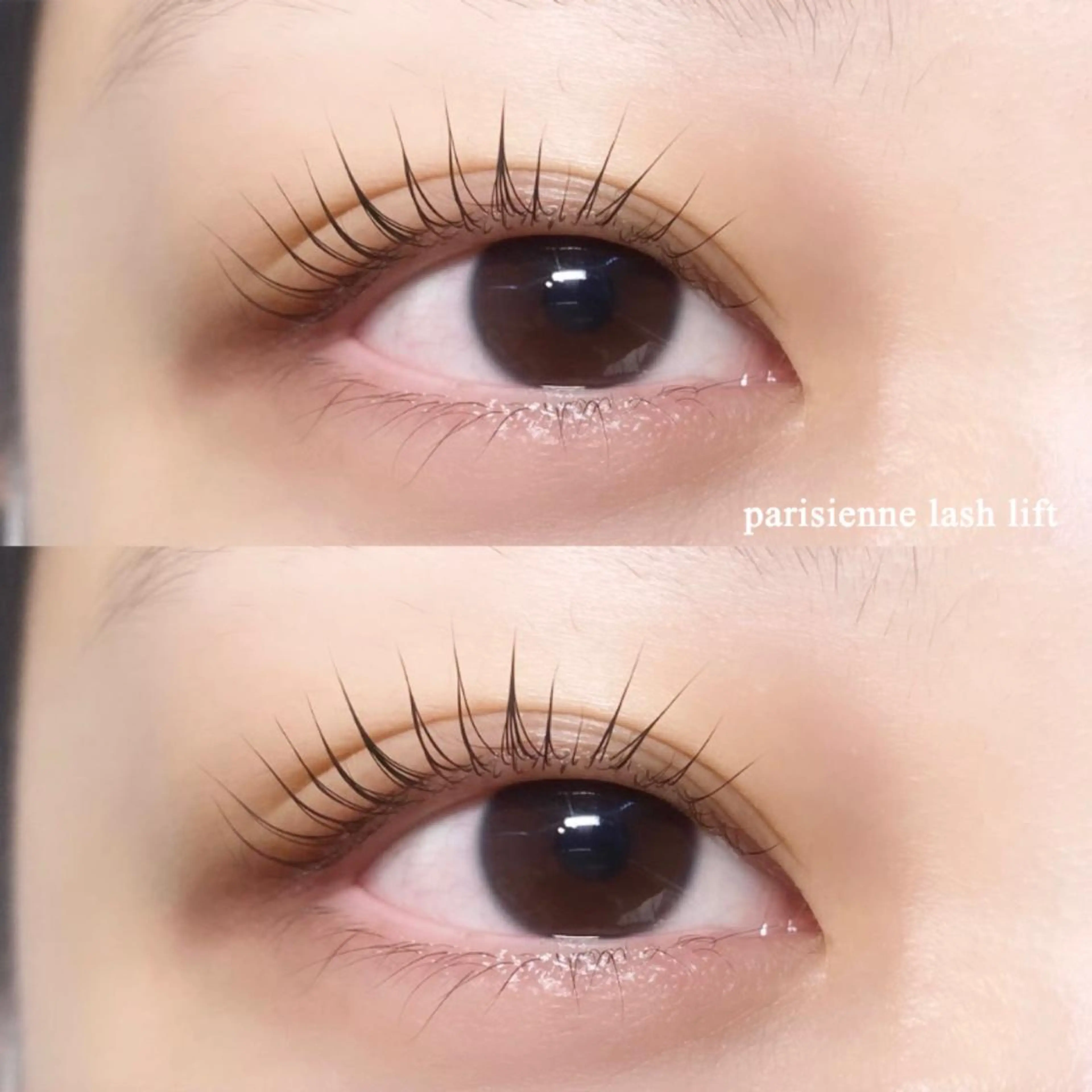 マツエク・マツパ パリジェンヌラッシュリフト 🎀 Suzunoのマツエク・マツパデザイン