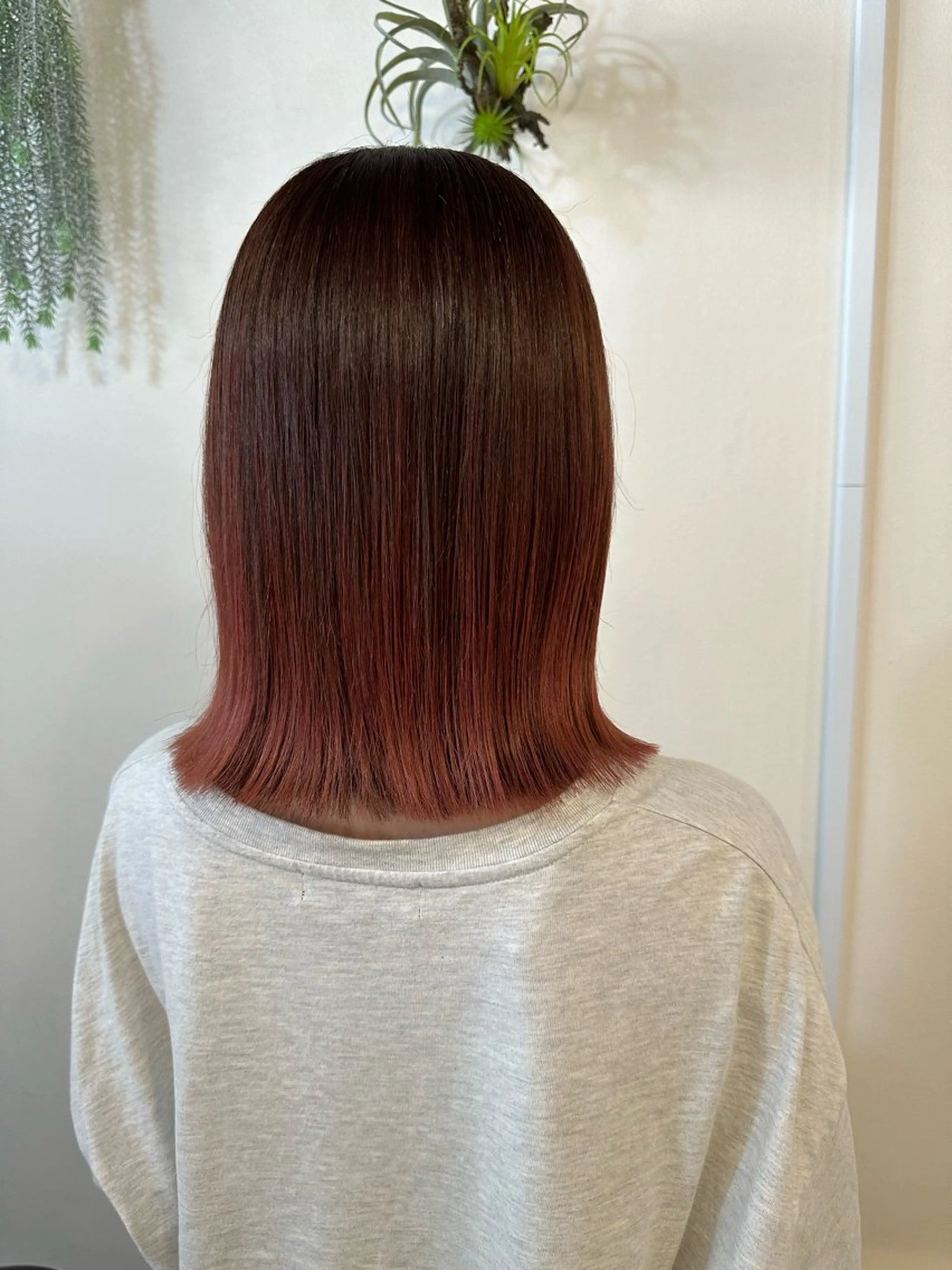 カラー グラデーションカラー ピンクカラー Sherry/R 三川町　木村祐里奈のヘアスタイル