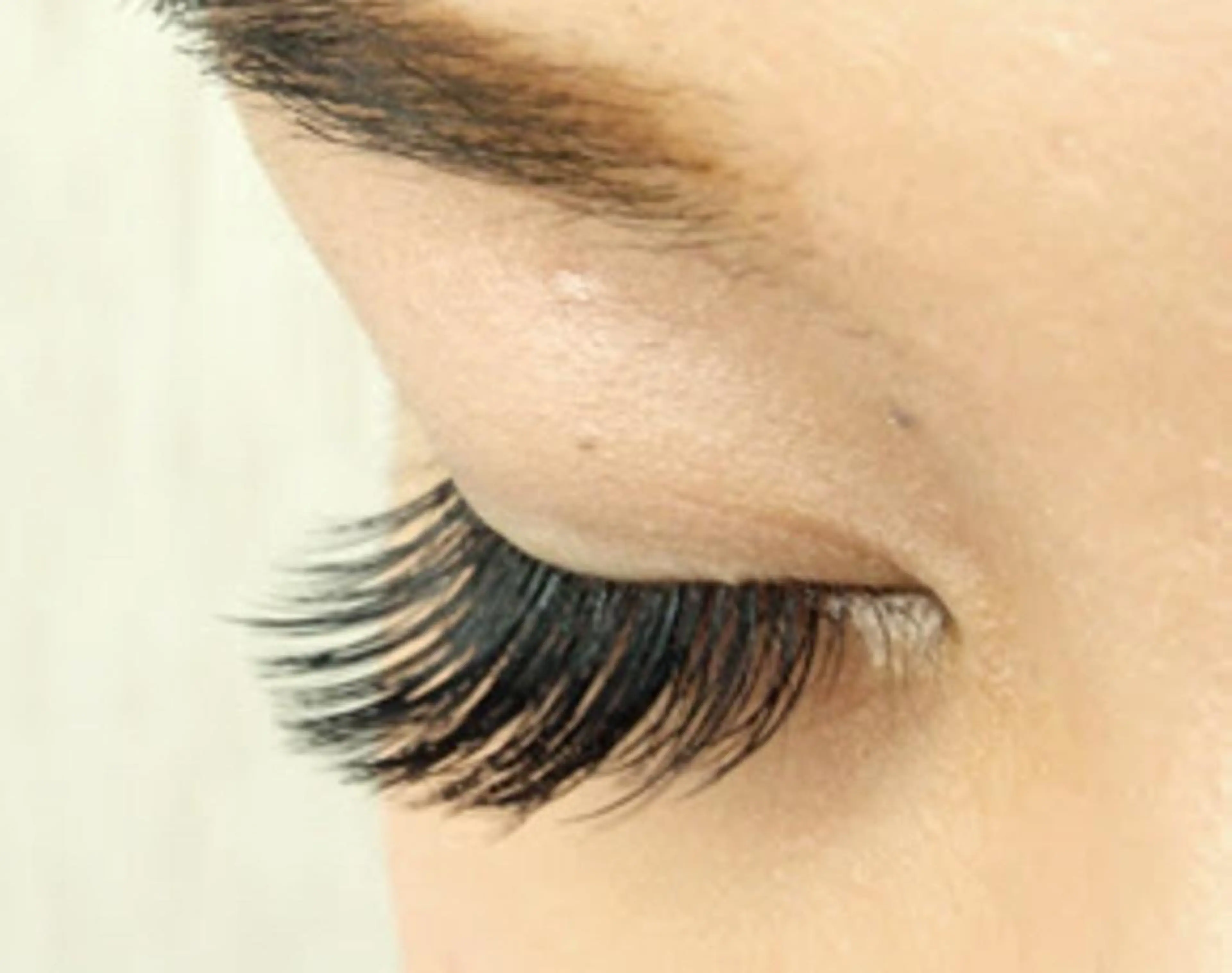 【初回限定】ヨーロピアン400本 オフ込の写真