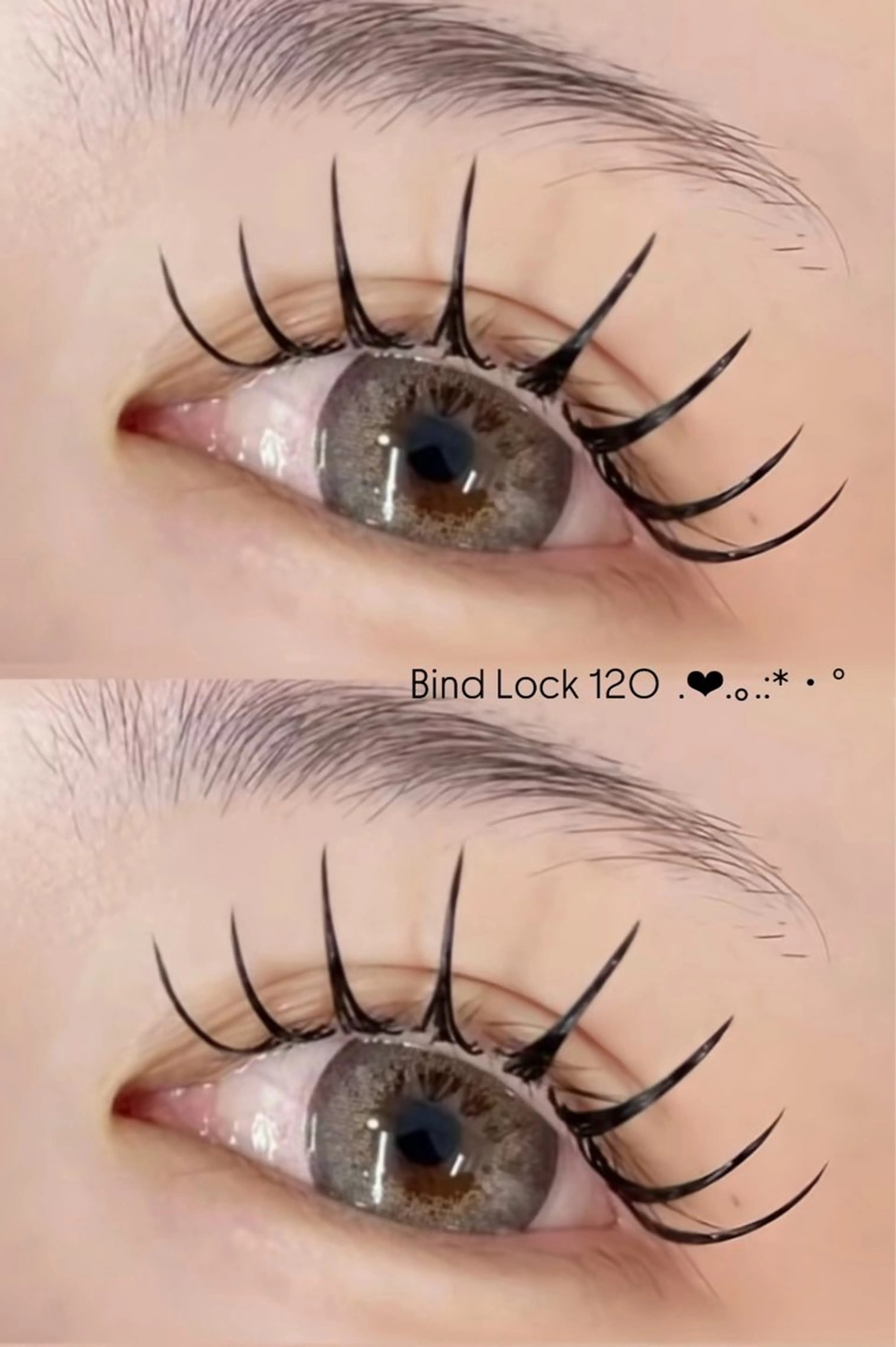 🎀LEDダブルフラット100束🎀の写真