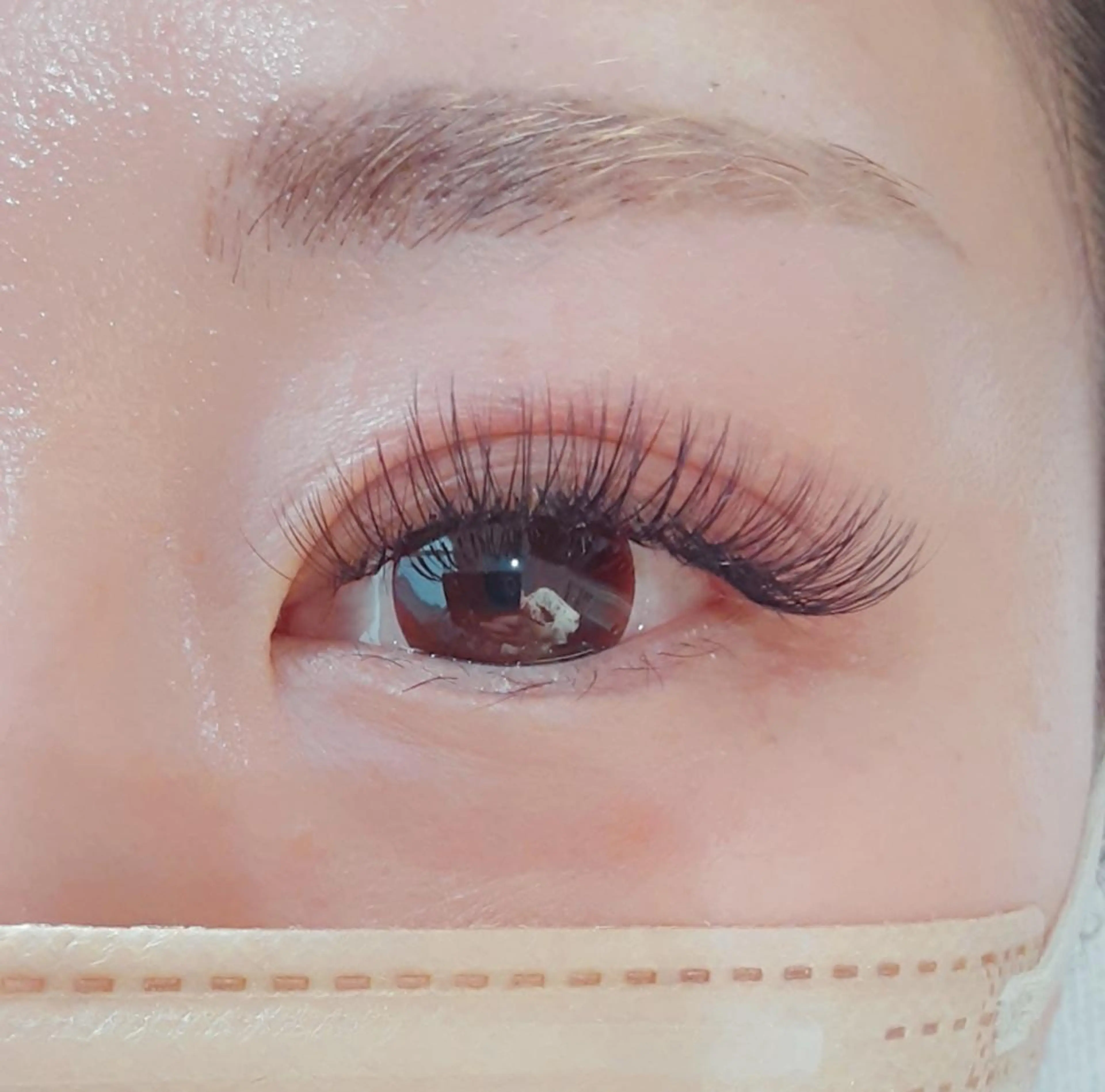 バインドロック80束 付け足し可能の写真