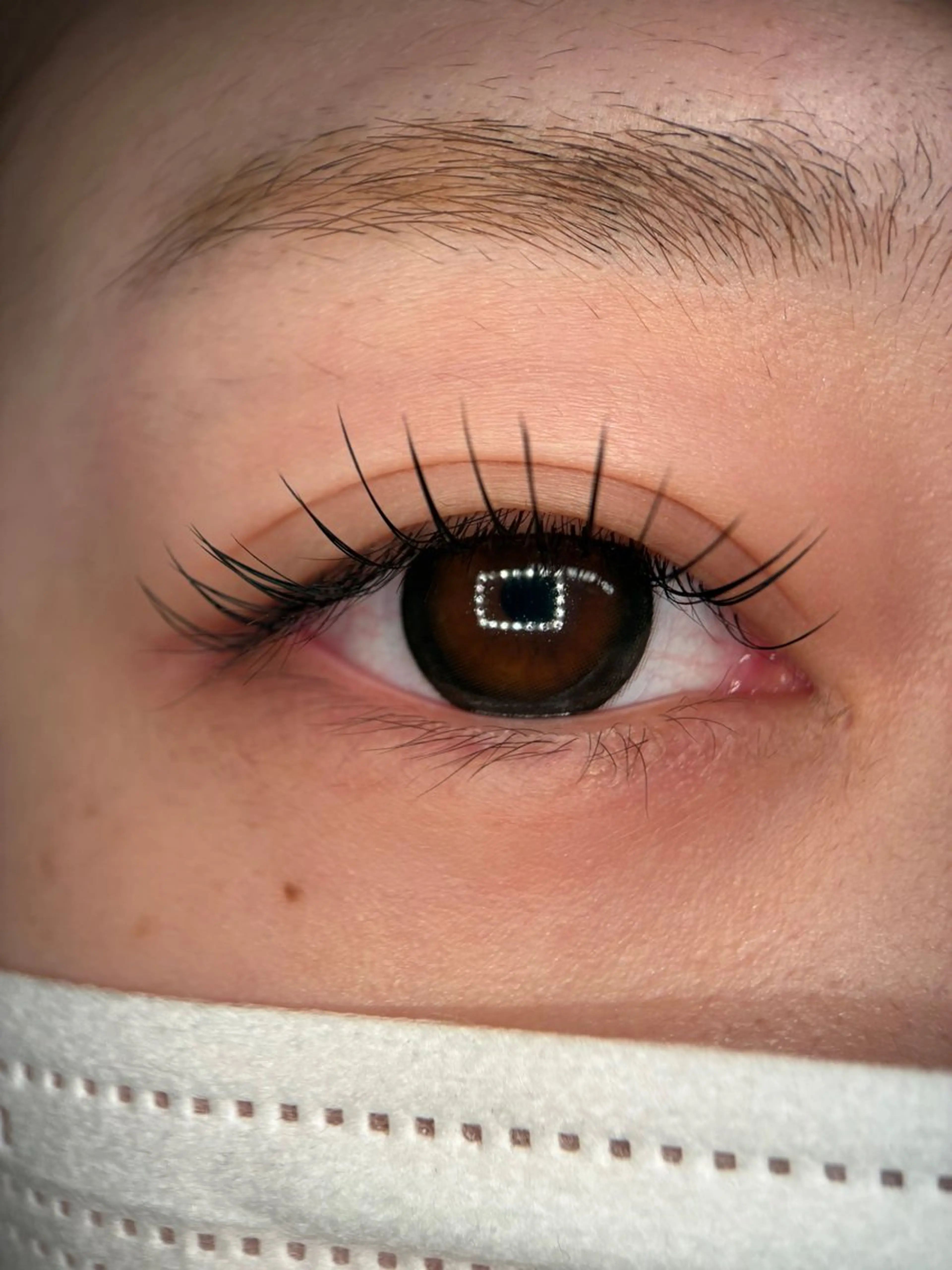 マツエク・マツパ Lushana 眉毛/まつ毛の眉毛・アイブロウイメージ