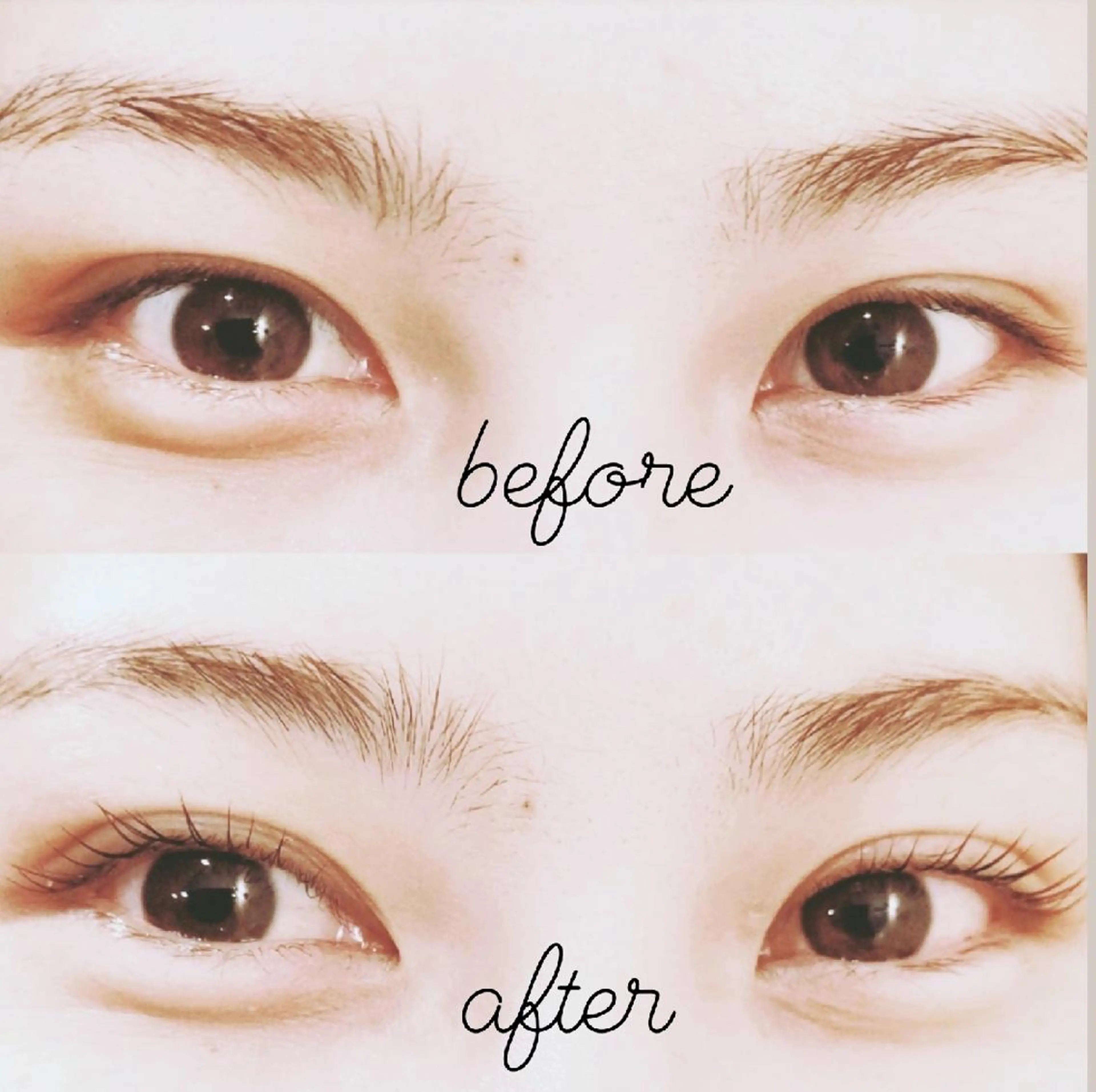 ロイヤルラッシュリフト byコスメカールの写真