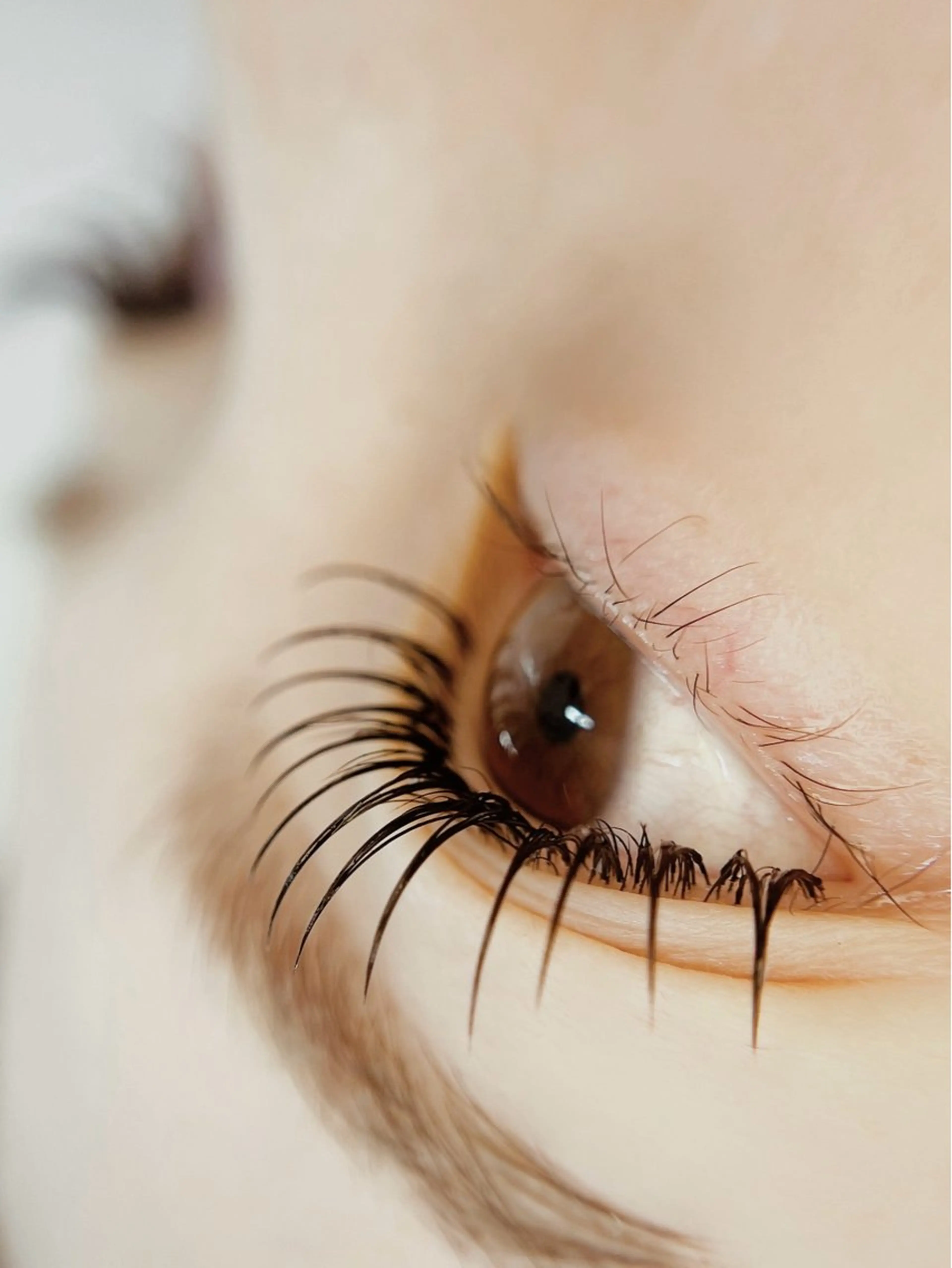 マツエク・マツパ マツエク Moe .のマツエク・マツパデザイン