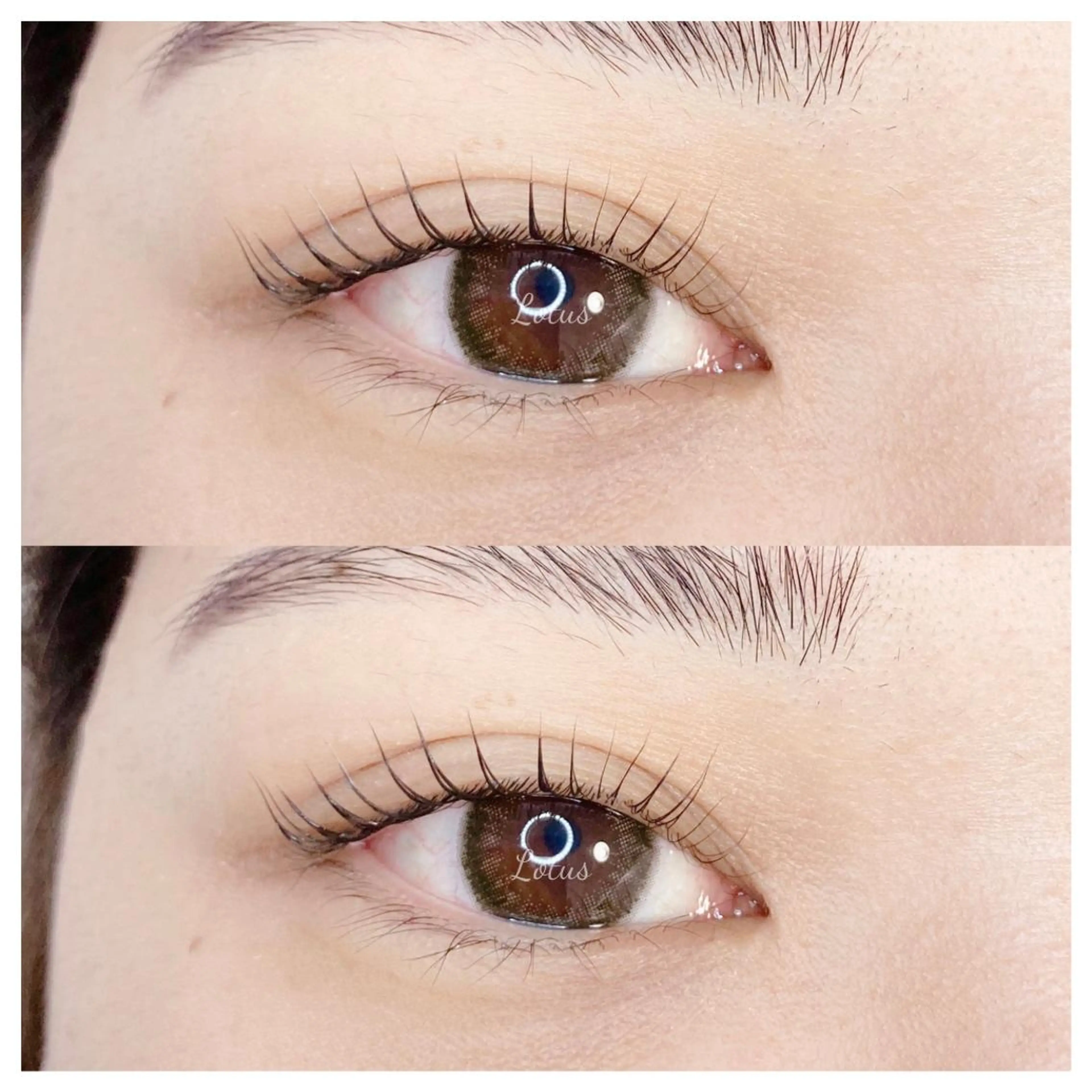 マツエク・マツパ マツパ Lotus ロータスのマツエク・マツパデザイン