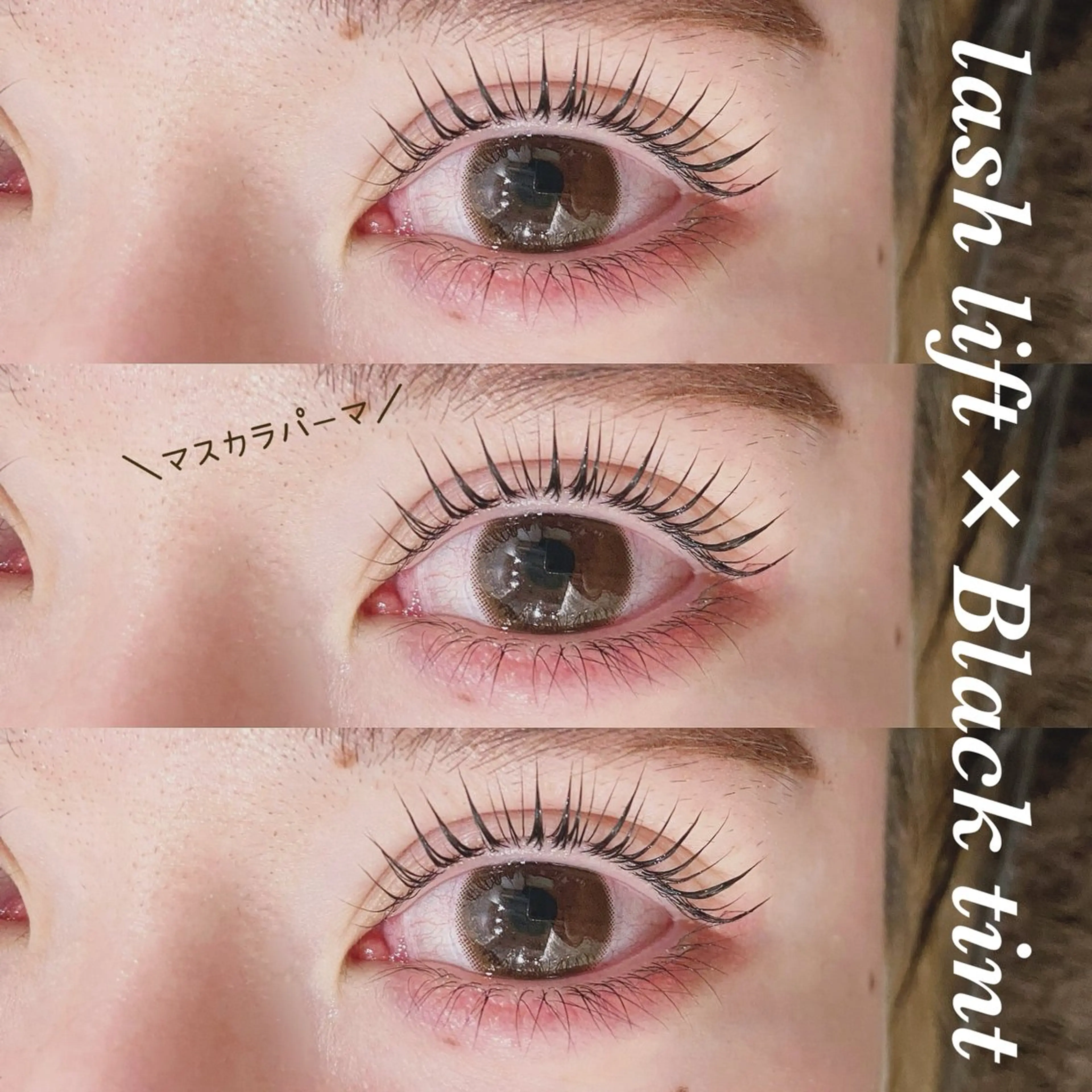 大人気🗣️マスカラパーマ(上のみ)  【まつげパーマ×ブラックティント】(アイシャンプー込)の写真