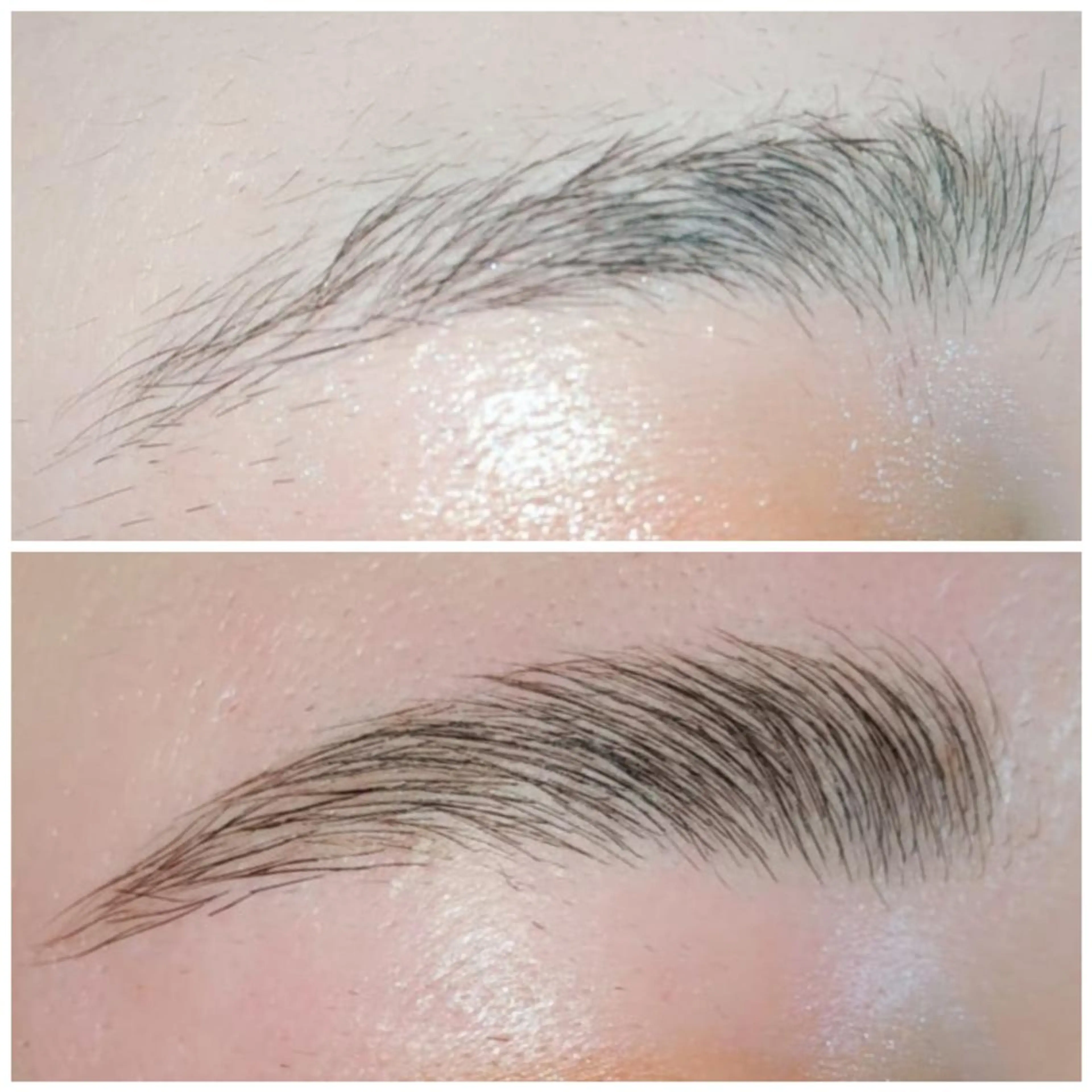 アイブロウ 中野やまとなでしこ AYAの眉毛・アイブロウイメージ